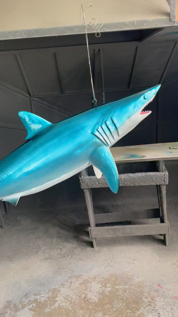 鲨鱼标本制作过程图片