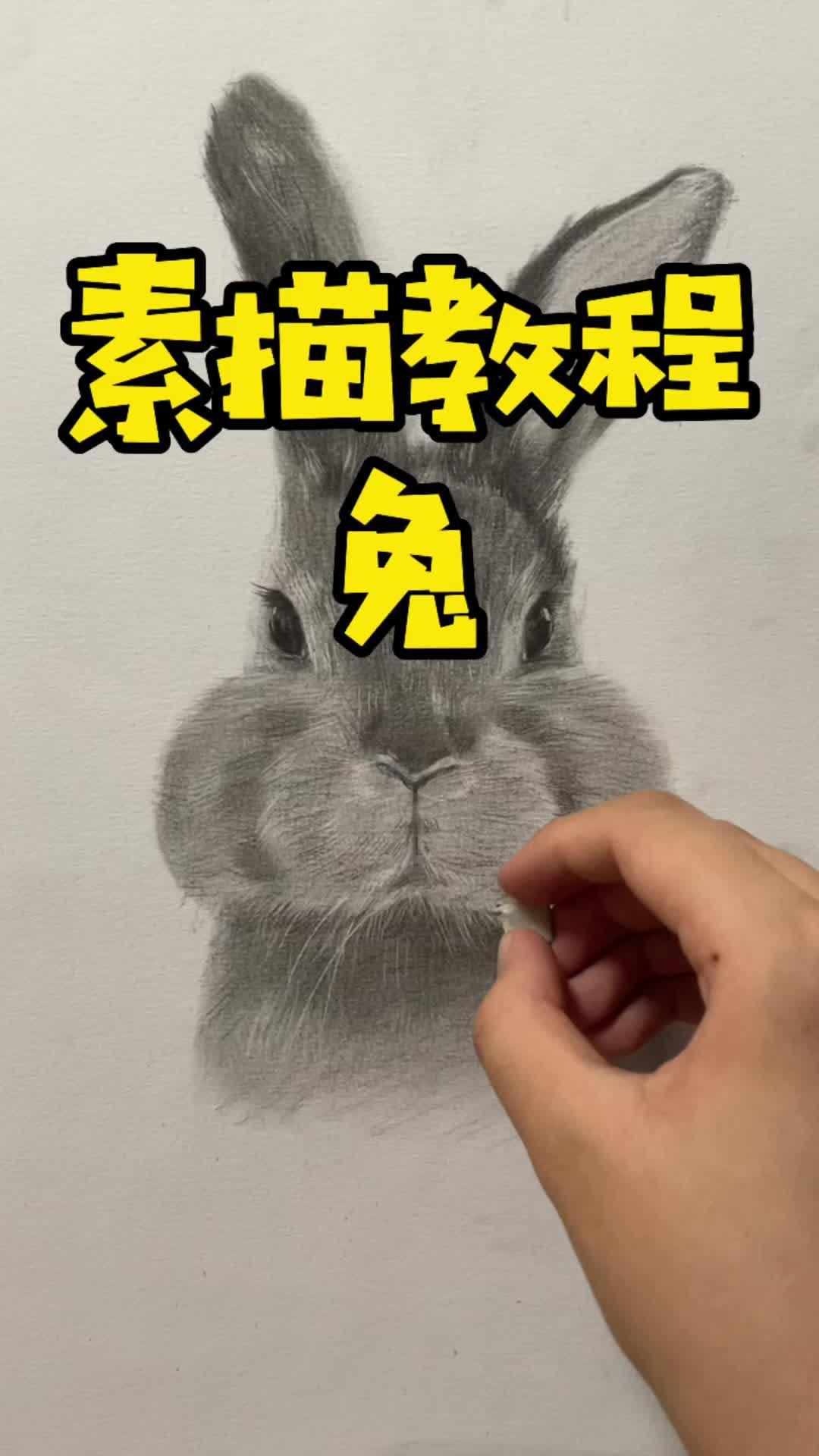 素描可愛小兔兒素描素描動物來支鉛筆素描系列教程