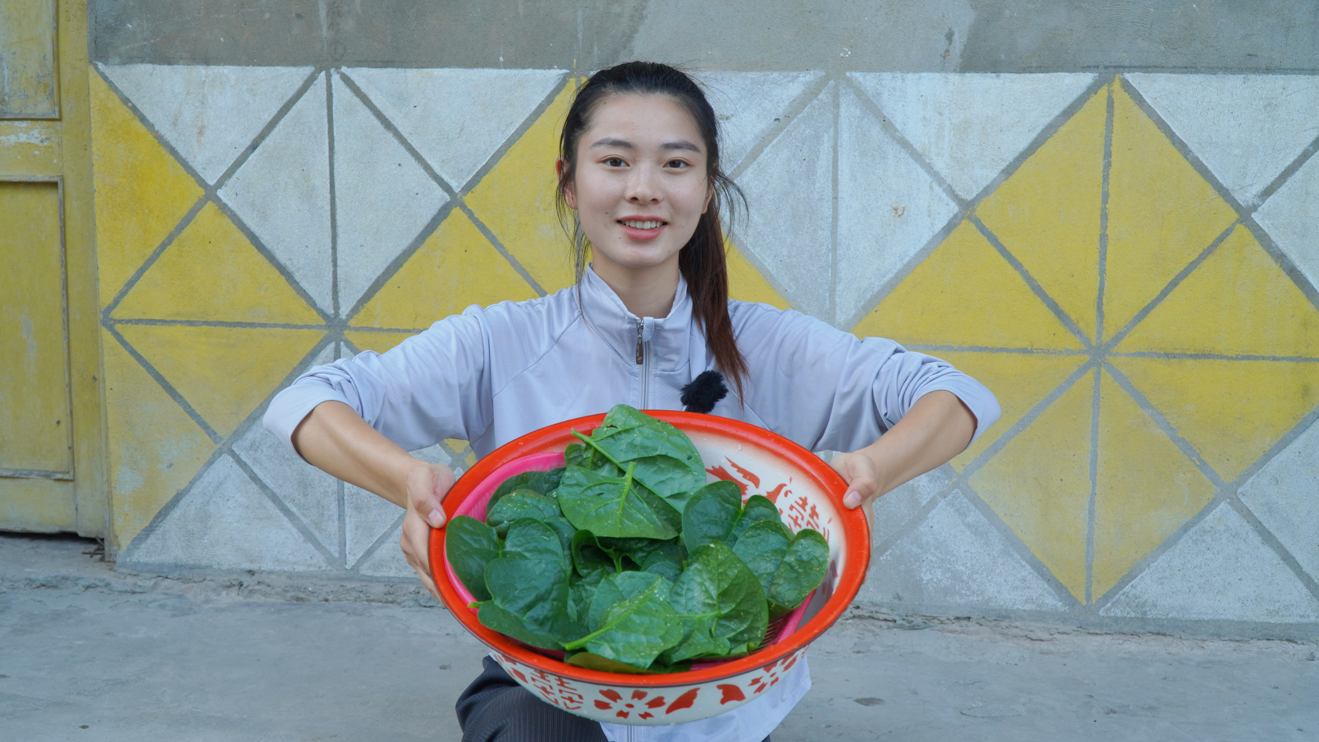 木耳菜长出来了，以前都是拿来喂猪，爆炒出来黏黏的很下饭