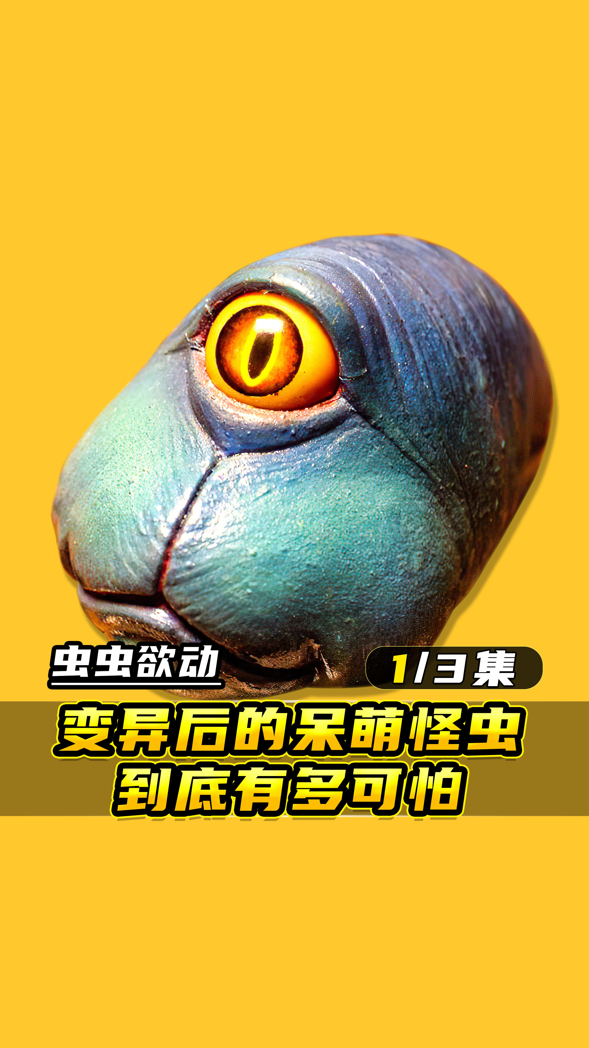 01可爱怪虫包治百病?