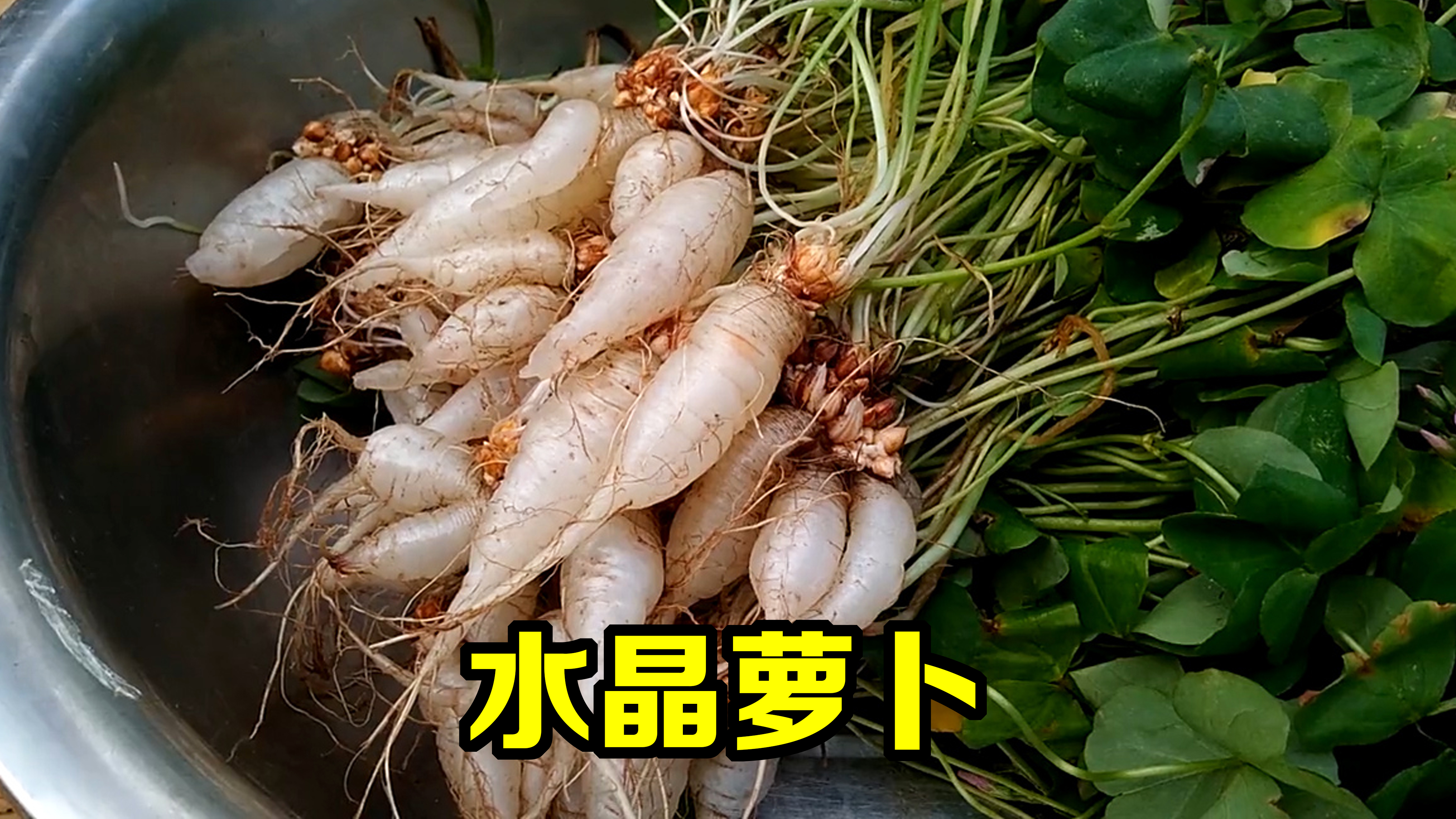 80岁奶奶最爱:用这个“酸溜溜”和车前草煮水,原来价值这么高?