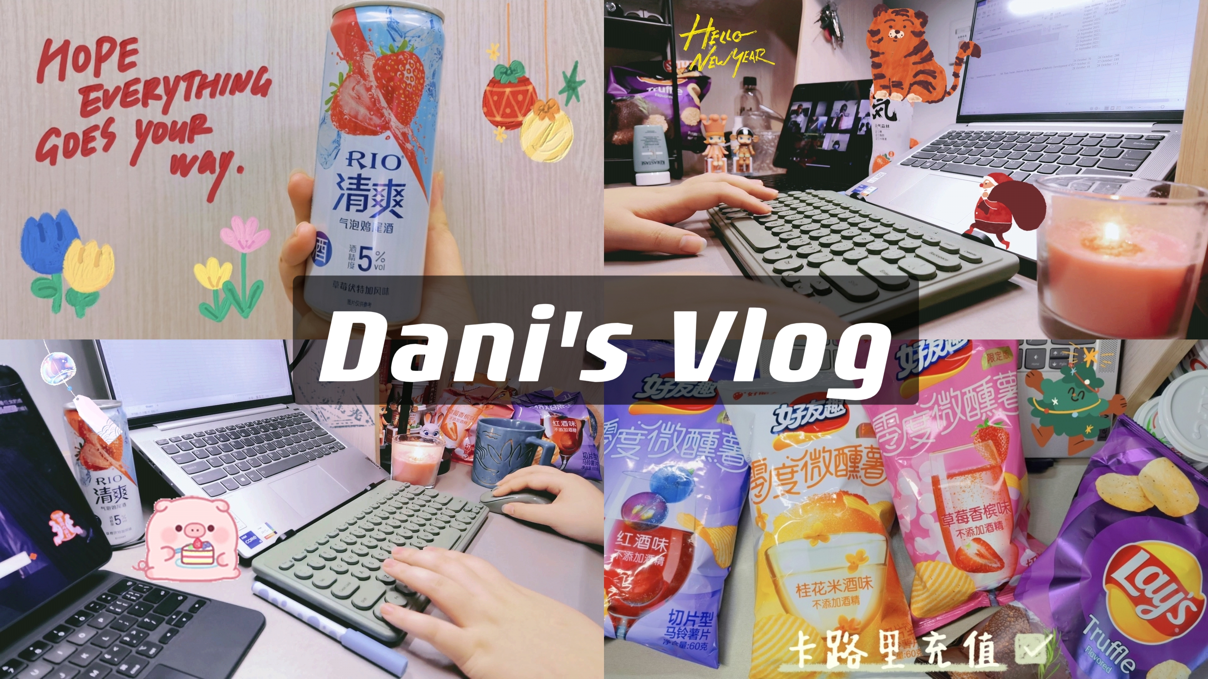Vlog.85|新奇口味薯片大赏+录入培训与研讨会信息数据