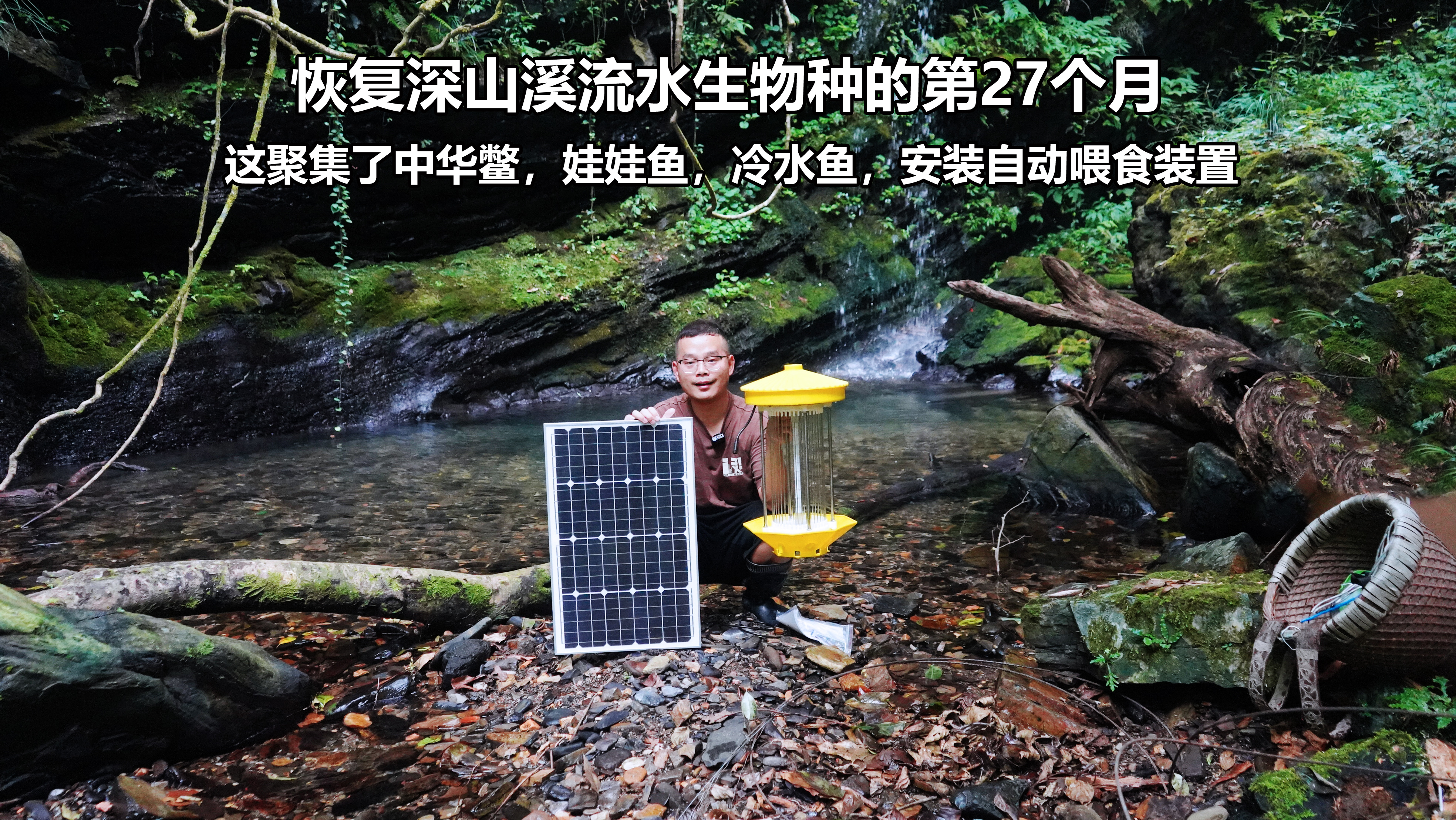 恢复水生物种的第27个月，给中华鳖，娃娃鱼等搭建太阳能喂食装置