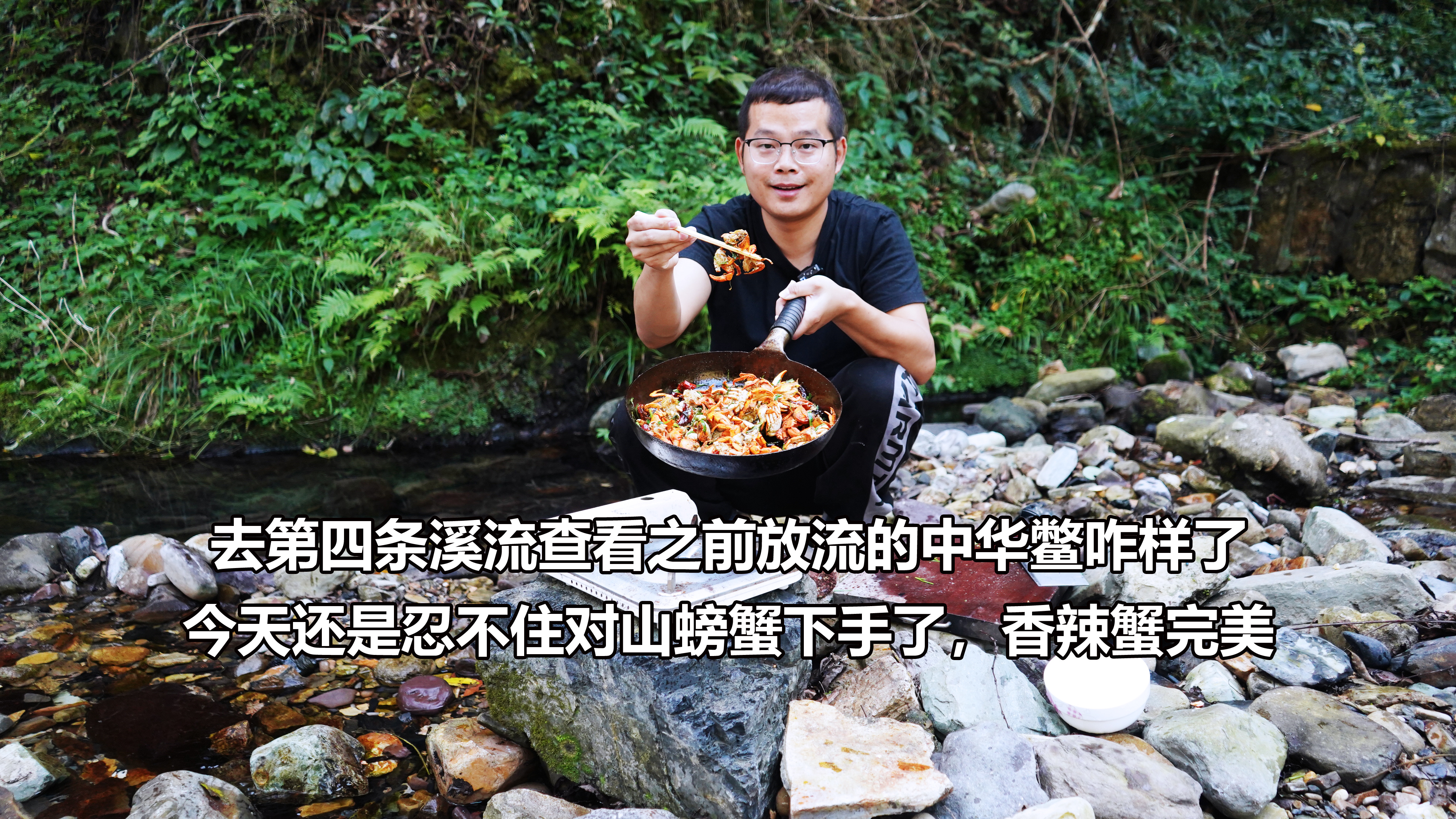 探查第四条放了中华鳖的溪流，上游山螃蟹简直泛滥，今天必须下手