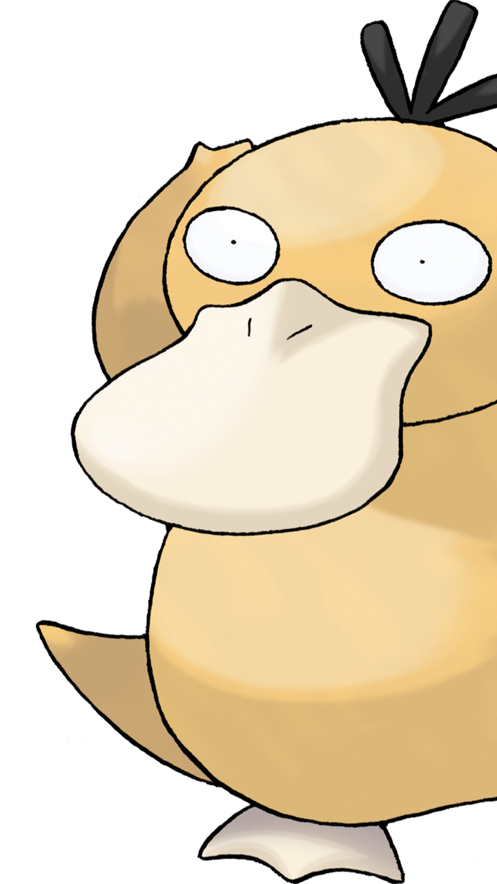 可爱可达鸭的懵逼