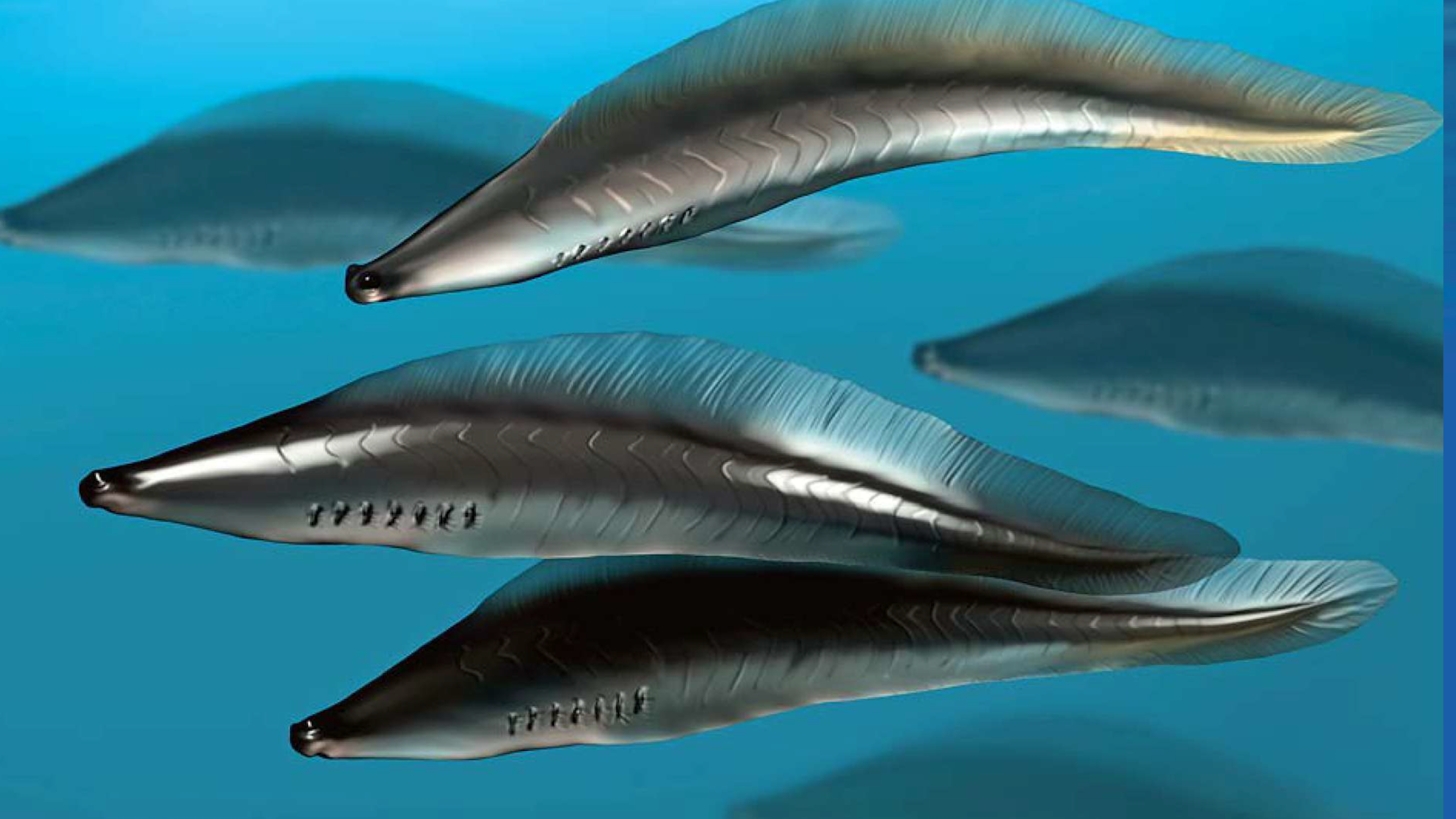 5亿年的开端:鱼类王朝的起步与昆明鱼类的探索