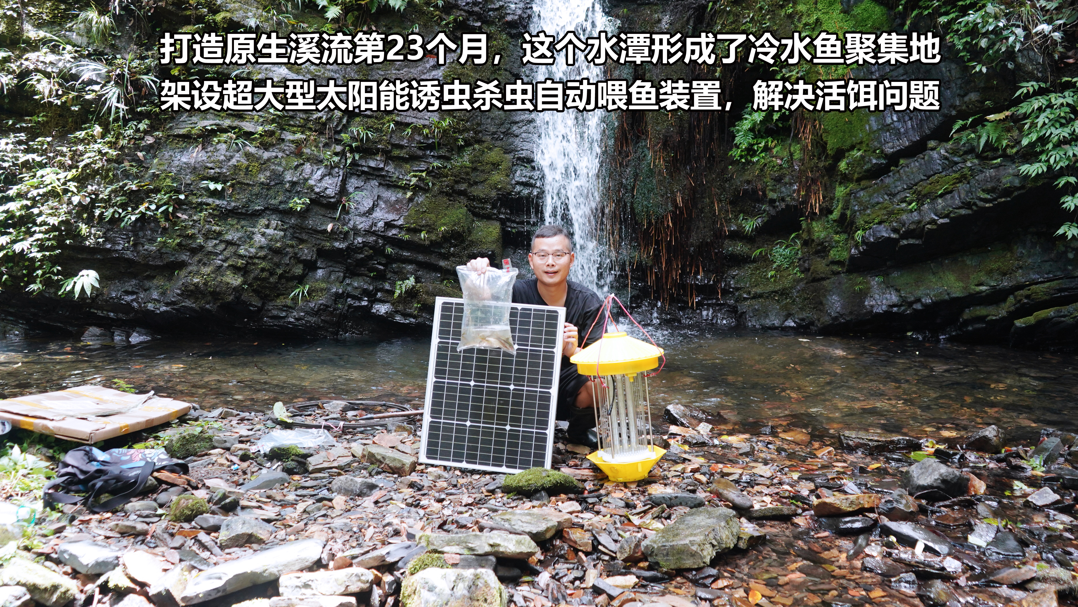 打造原生溪流第23个月,水潭形成鱼类聚集地,架设超大型喂鱼装置