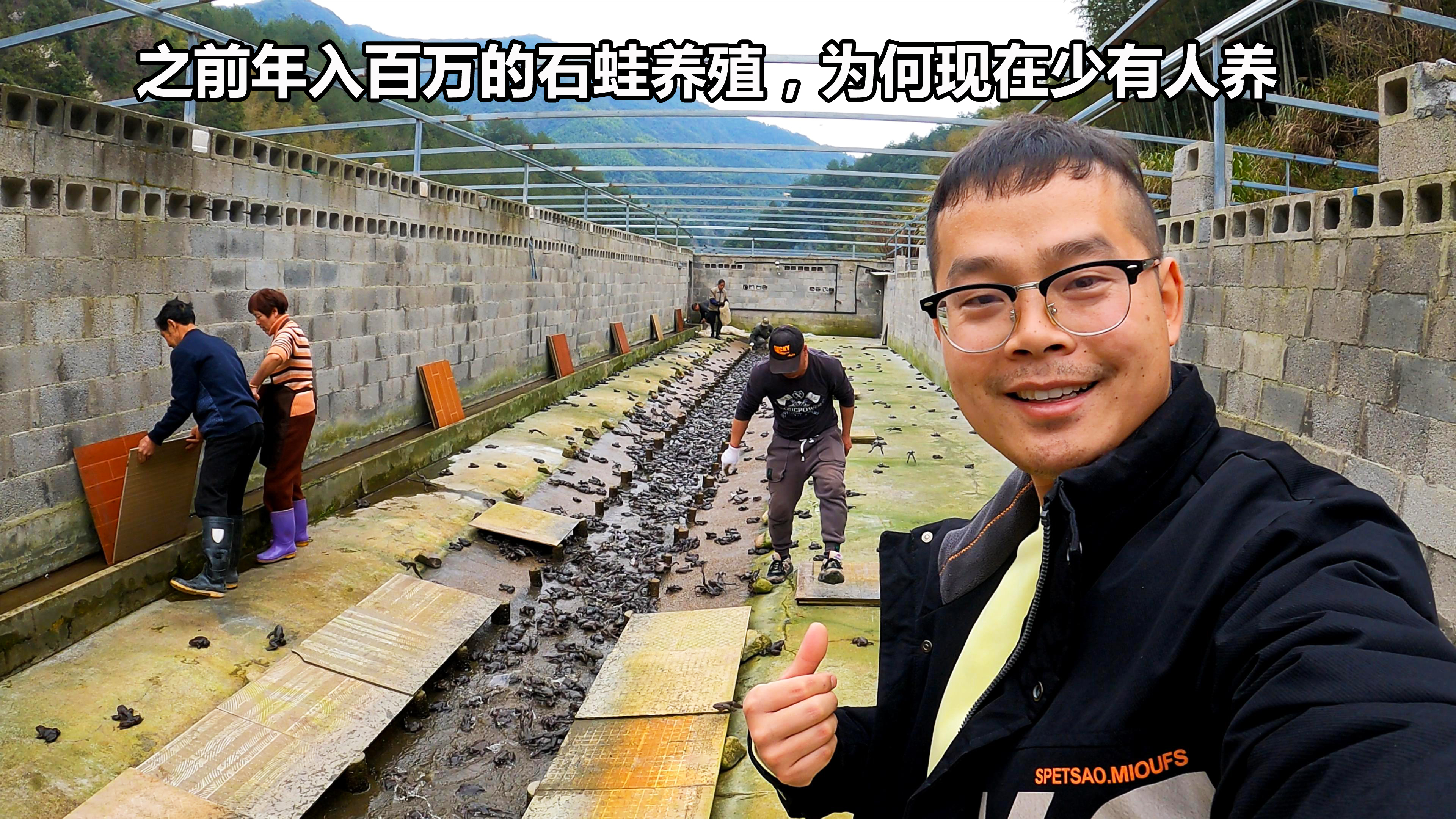 售价高达200一斤的石蛙，之前养殖更是年入百万，为何现在不香了