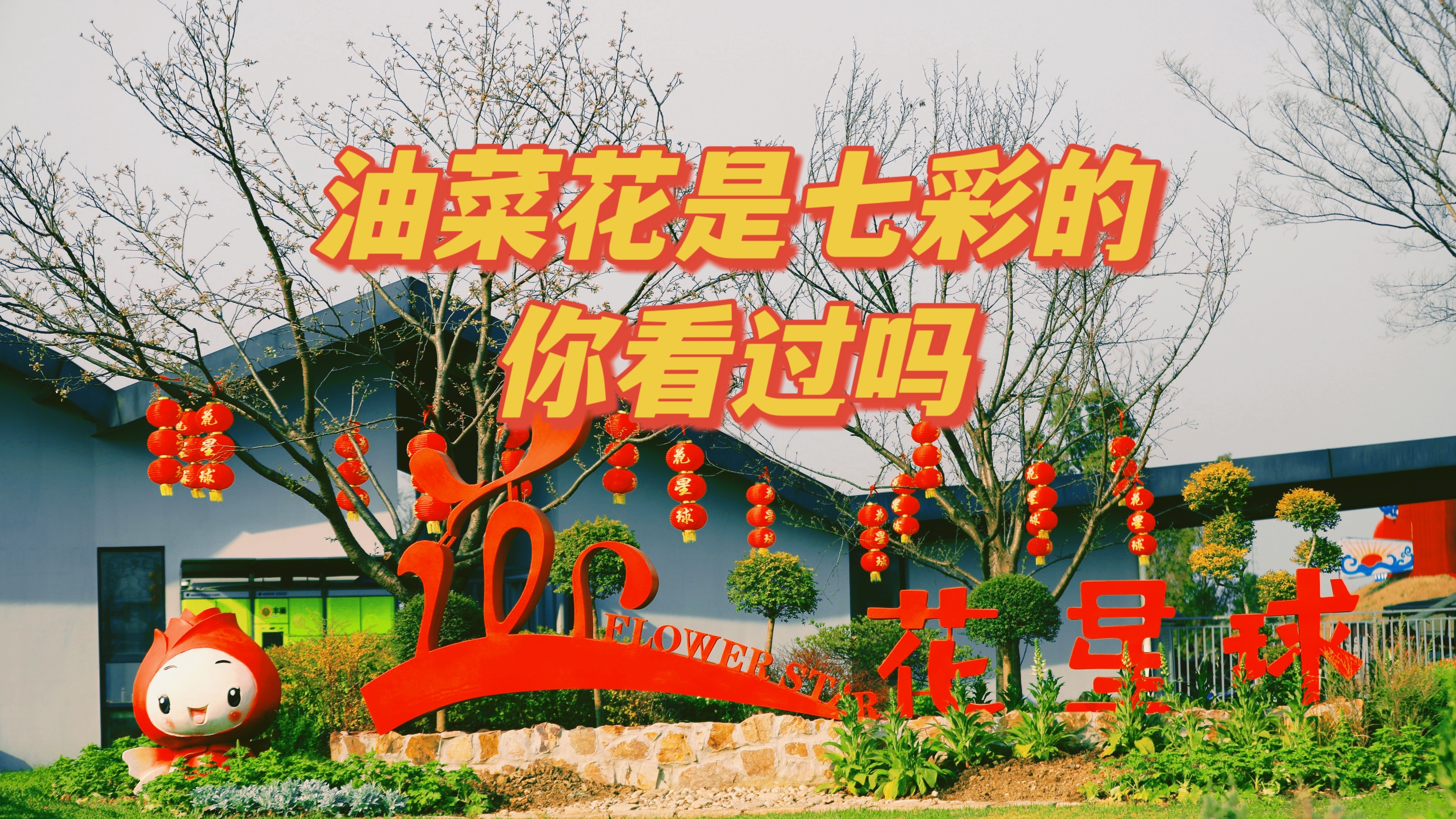 你的印象里油菜花是什么色呢,那里有一大片彩色油菜花等你来看