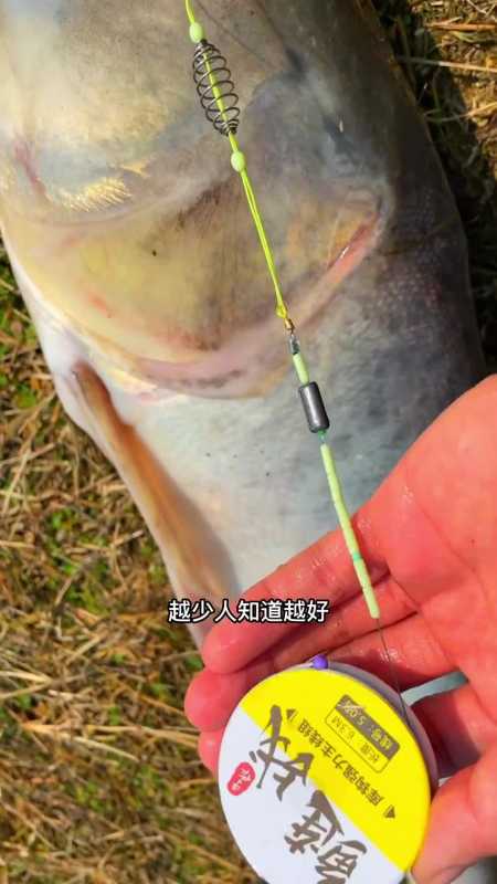 手竿水库里如何钓鲢鳙钓鱼技巧钓鱼方法钓鱼知识-度小视