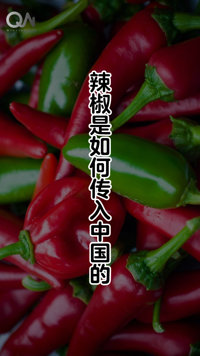 辣椒如何传入中国的