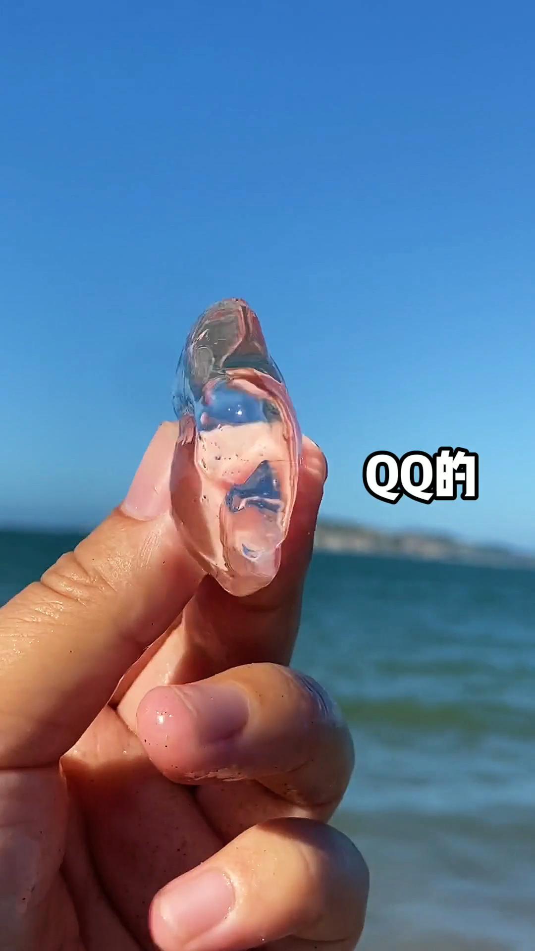 海底冒出来的天然果冻这个东西能吃吗