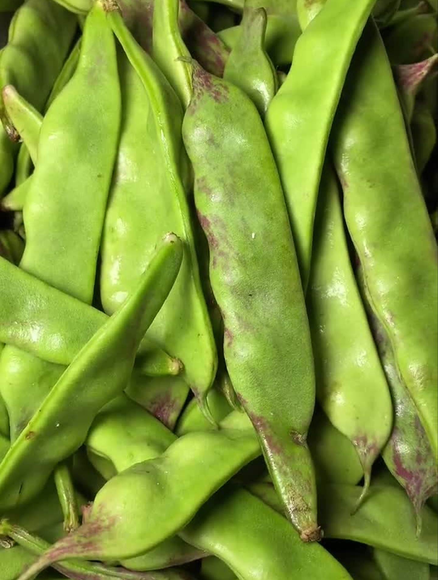 东北油豆角一点红来啦豆角一定要多炖会炖熟再吃-度小视