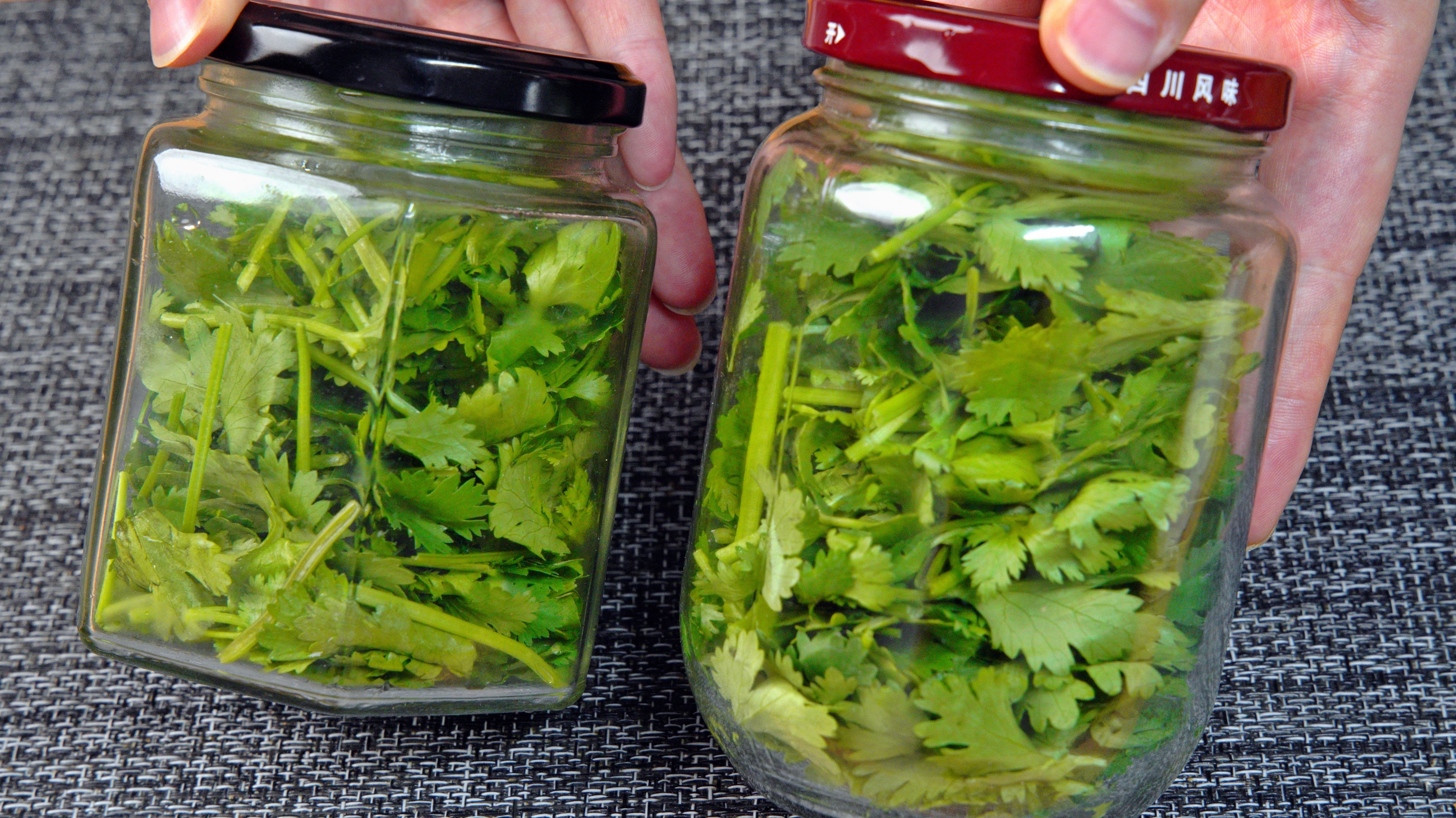 把香菜装进瓶子里面,保存一年和新鲜的一样,香味不减,颜色翠绿