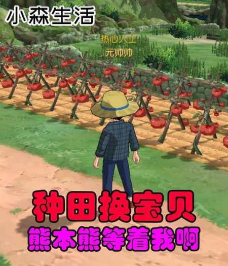 小森生活24广开农田我要熊本熊