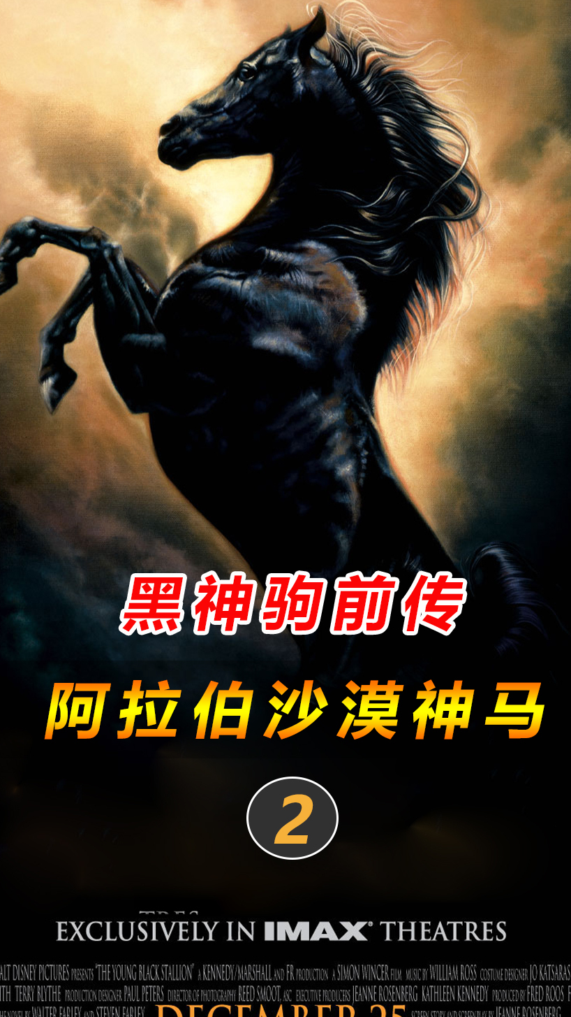 小黑马,善良女孩救下小马驹,一年后神马登门报恩,真神!-度小视