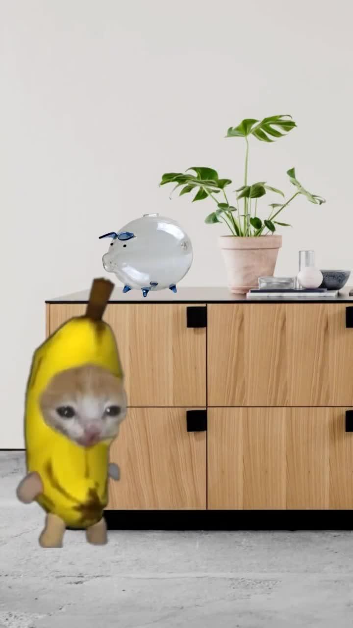 香蕉猫把用全部积蓄买来的零食分给小娃娃丢 结果又哭了