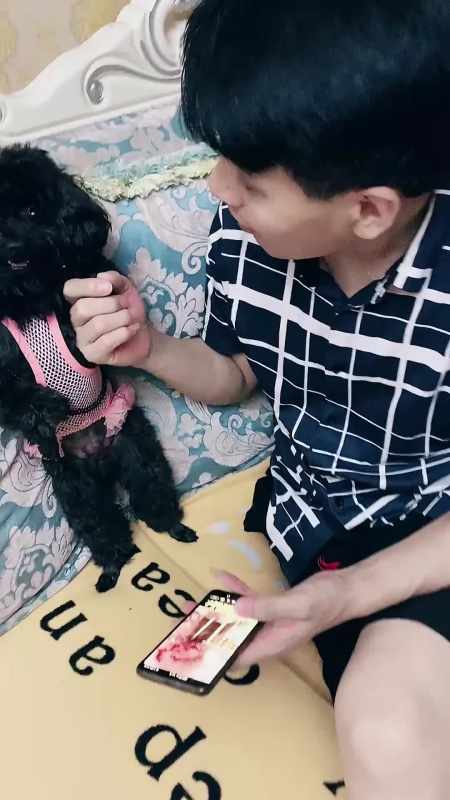 2022-08-31106小宝李李李3148粉丝  关注爷爷的土方法,把雪梨搭配花椒