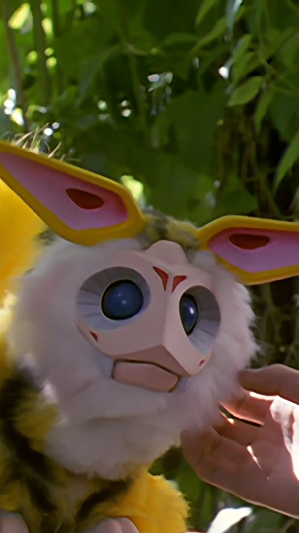 「戴拿」哈乃次郎拥有二年级小学生的智商,飞鸟震惊了!