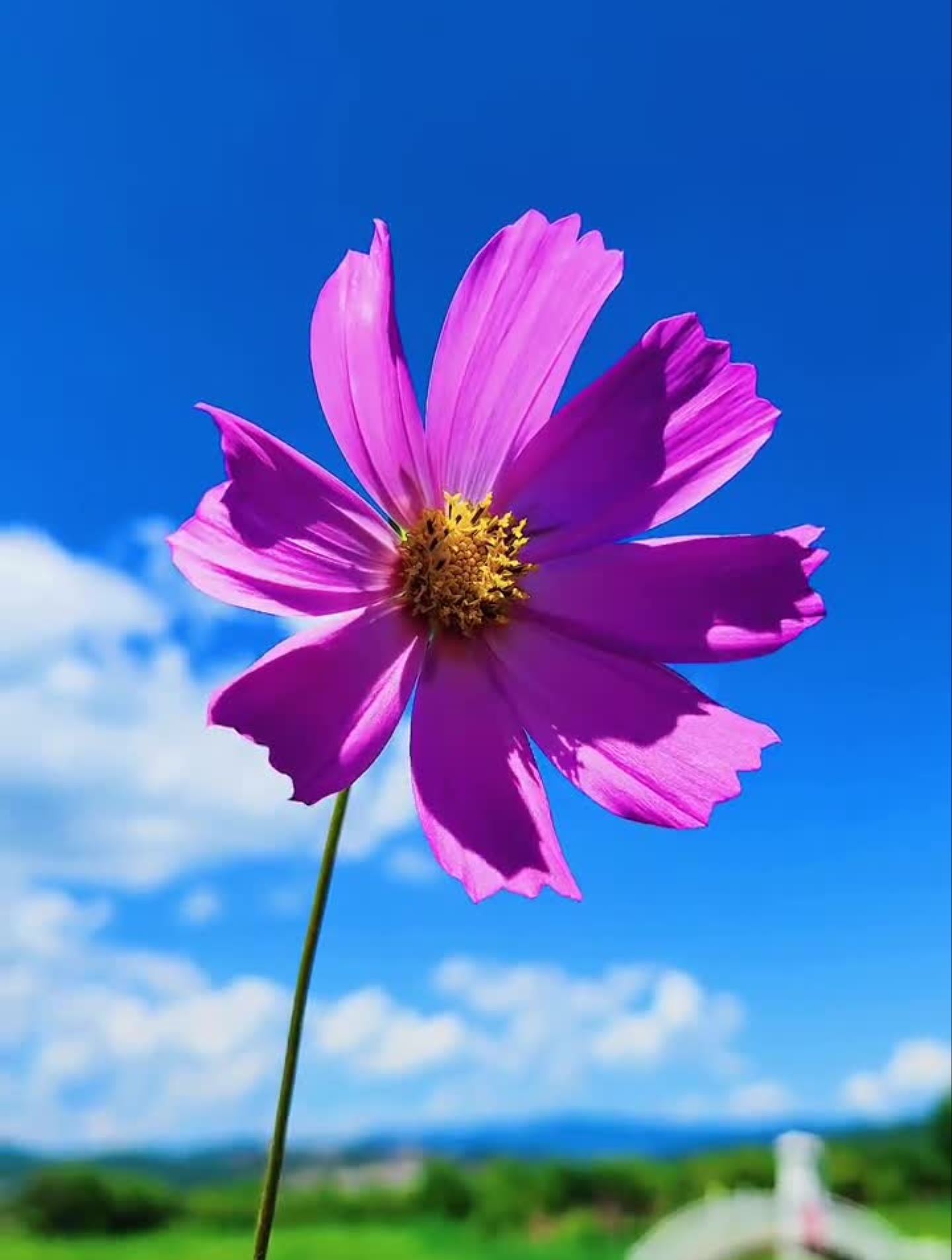 干净而又祥和,宁静而平淡……治愈系风景