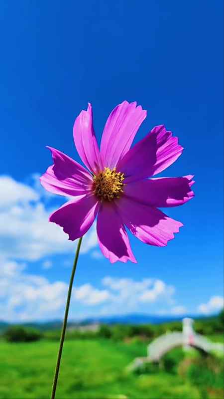 干净而又祥和,宁静而平淡……治愈系风景