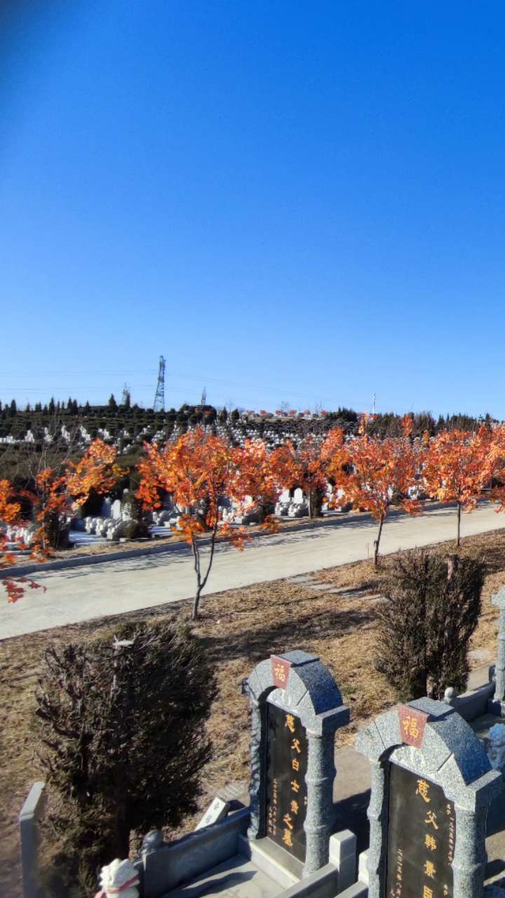 瀋陽聖河山墓園地址位置 簡介 園區環境