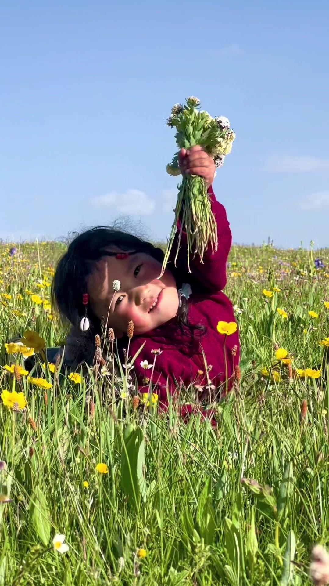 草原上的姑娘卓玛 美丽可爱的甘孜小卓玛是人间最纯洁卓玛7815