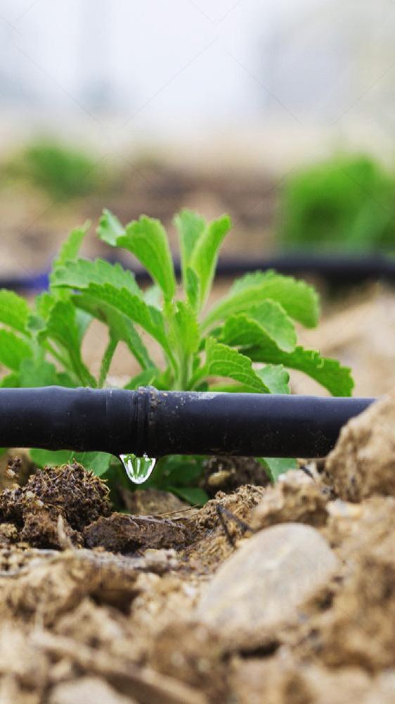 滴灌管 蔬菜大棚滴灌管 果树滴灌管