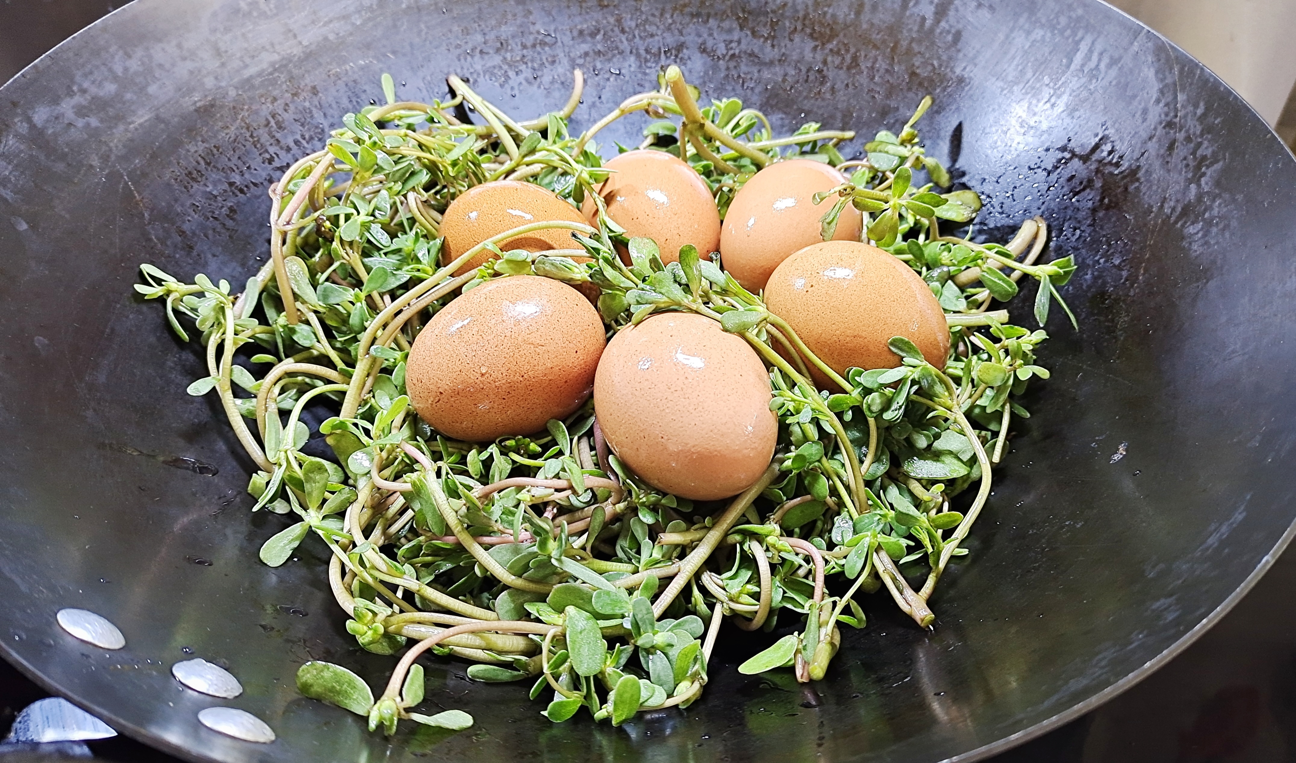 马齿苋煮鸡蛋,作用实在厉害了,我也今天才知道,省钱又实用