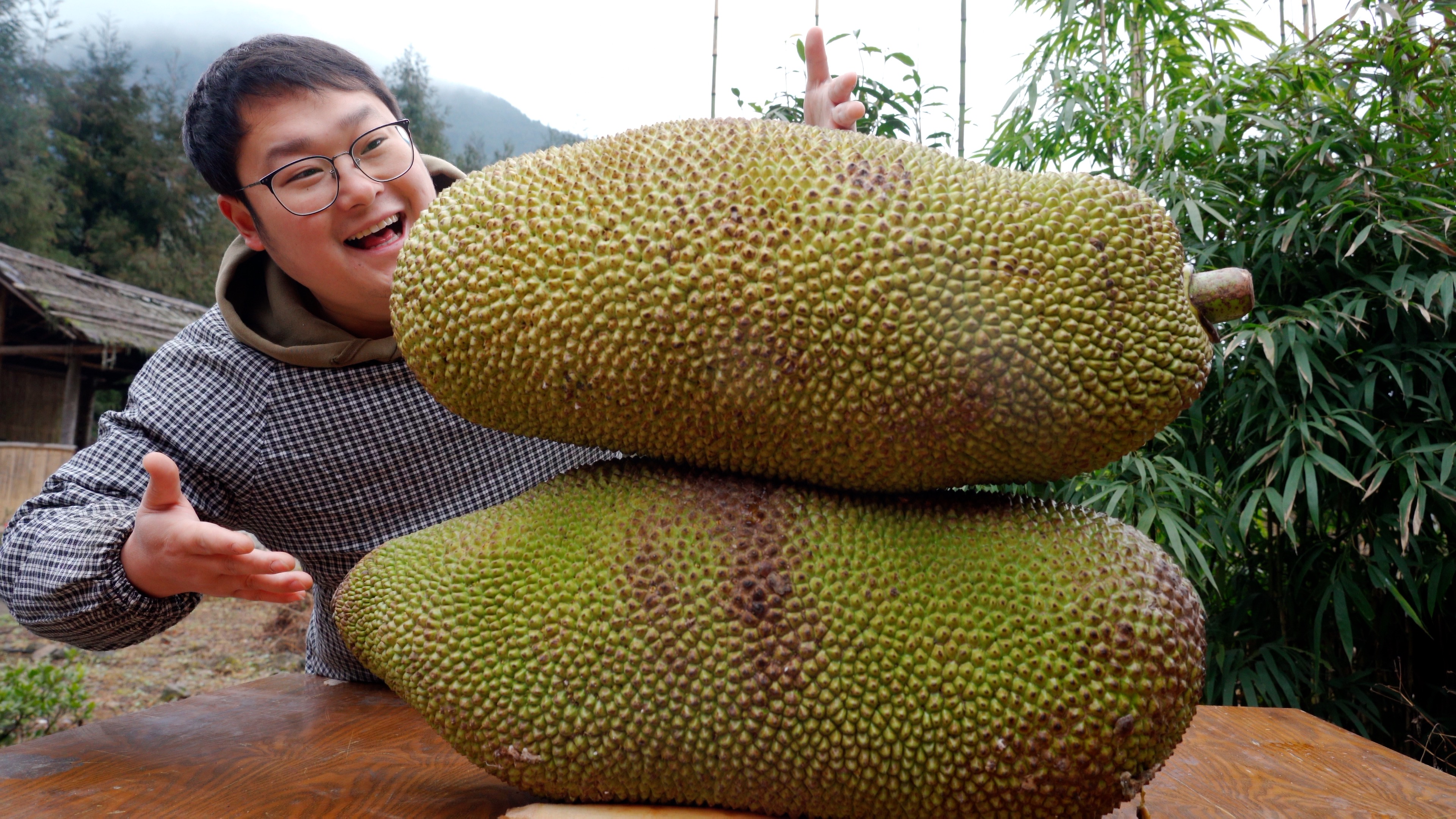 100斤菠萝蜜能出多少粉?整100斤,解锁一下