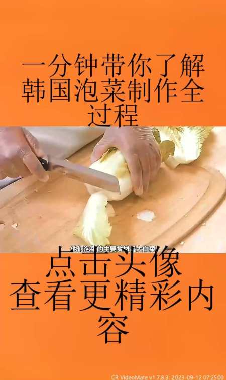 泡菜的制作步骤图片