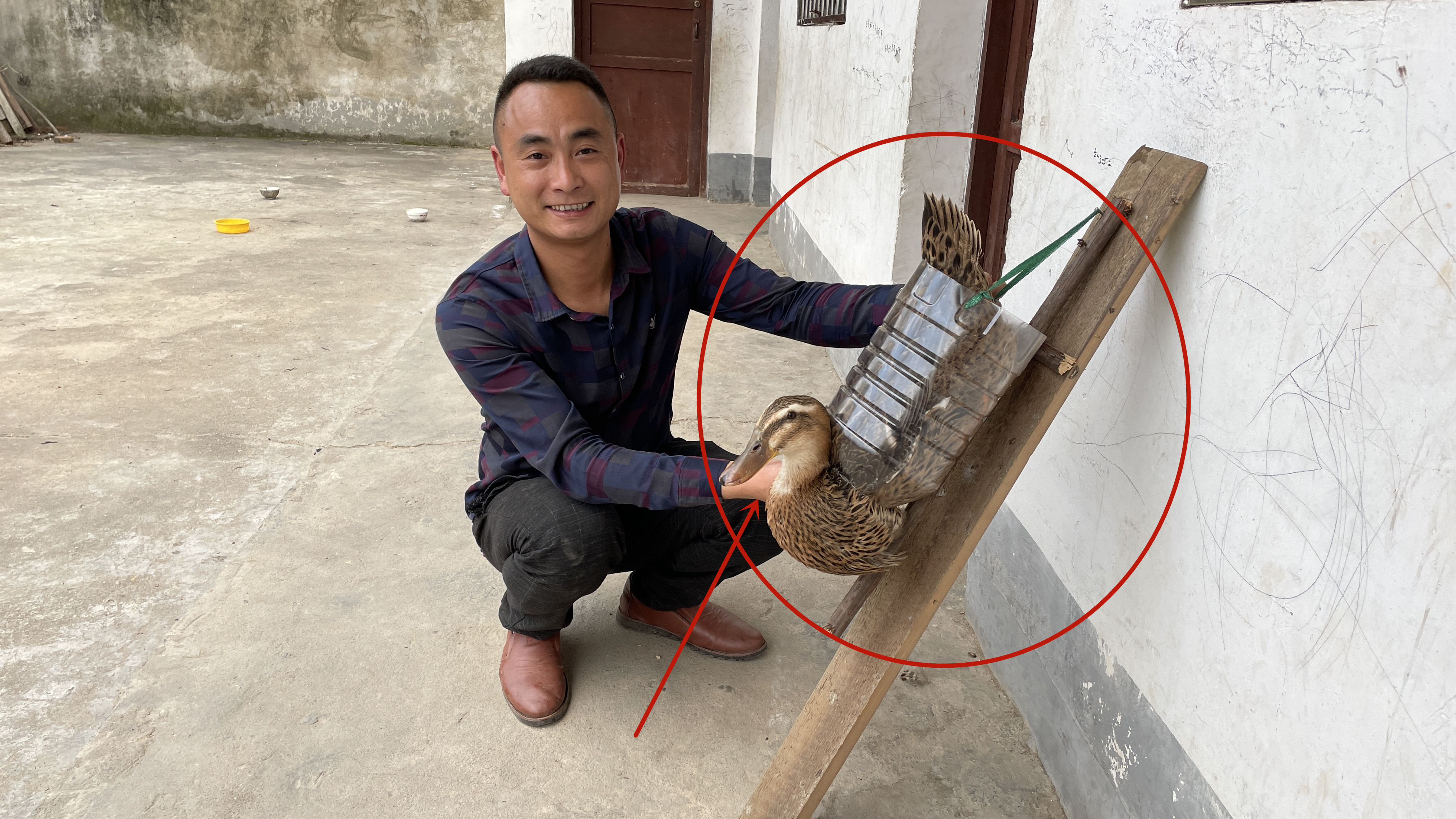 小伙制作的“杀鸭神器”真给力,网友看完后热血沸腾,真是人才啊