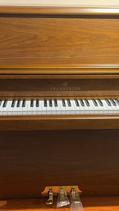 昆明买钢琴普拉姆伯格jp48d