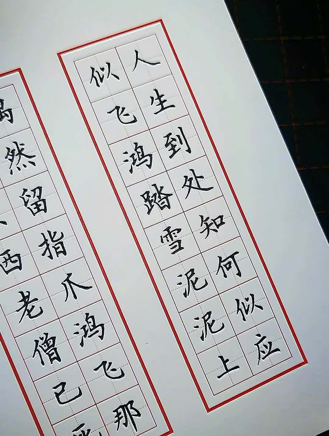 楷书随笔练习写字是一种生活邵辉中性笔楷书