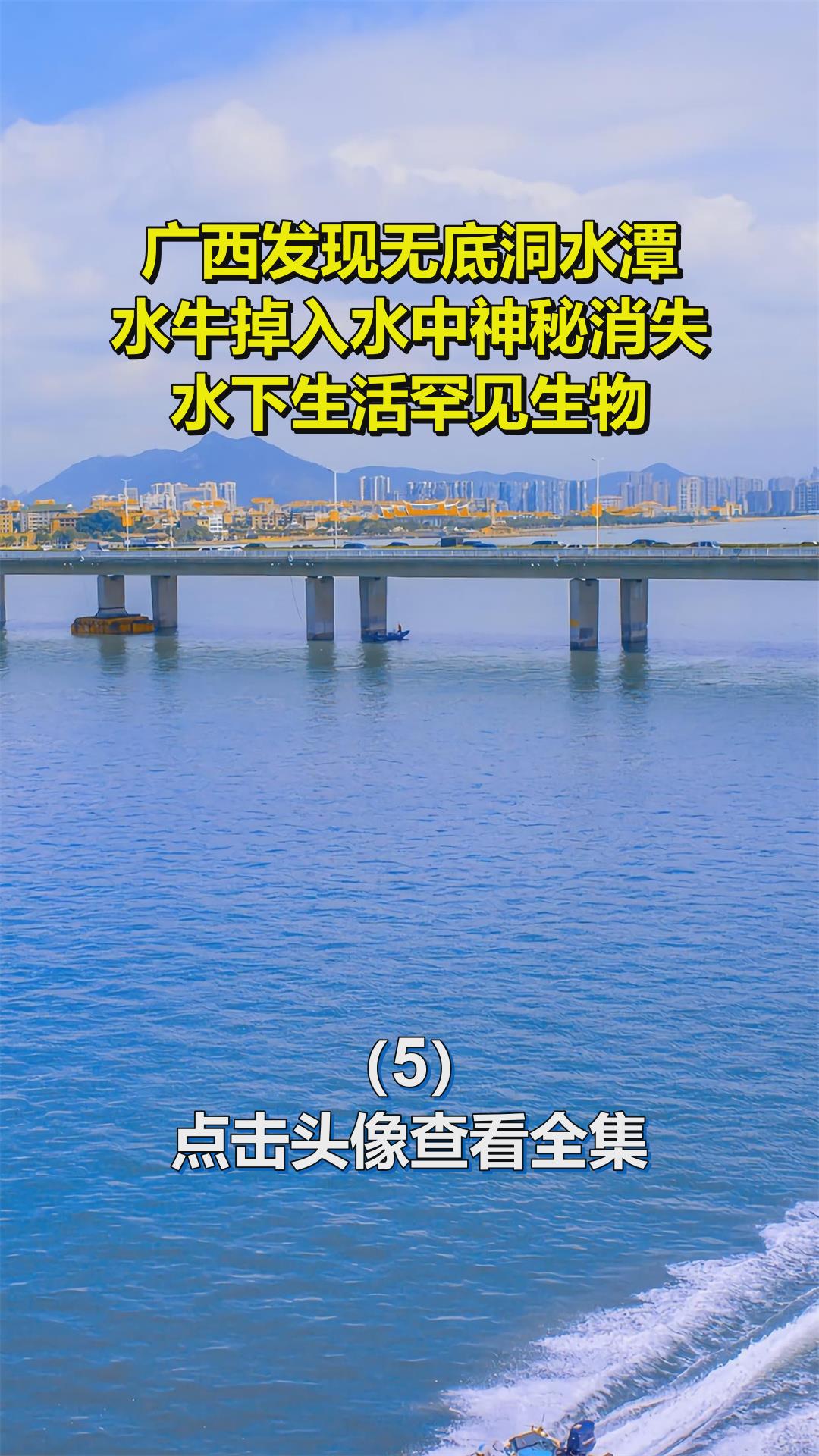 广西发现无底洞水潭,水牛掉入水中神秘消失?水下生活罕见生物?