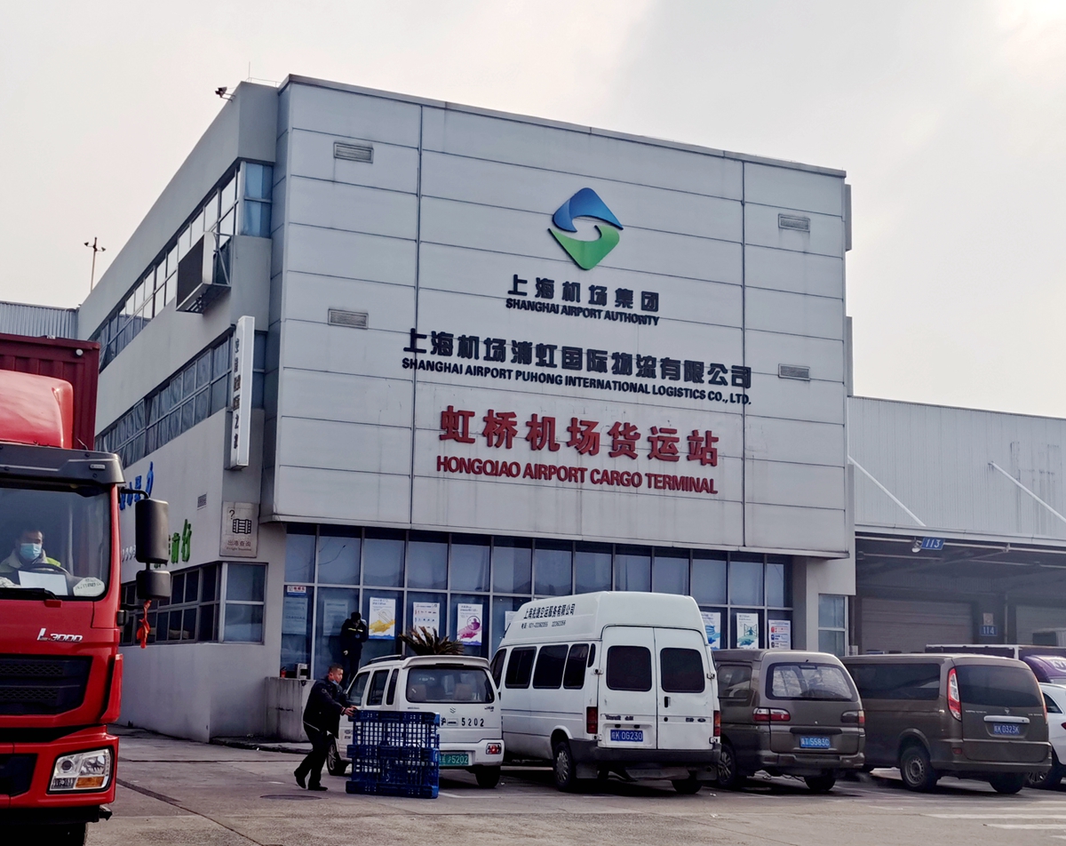 上海虹桥机场托运宠物猫狗怎么接送到家?机场空运宠物接送案例