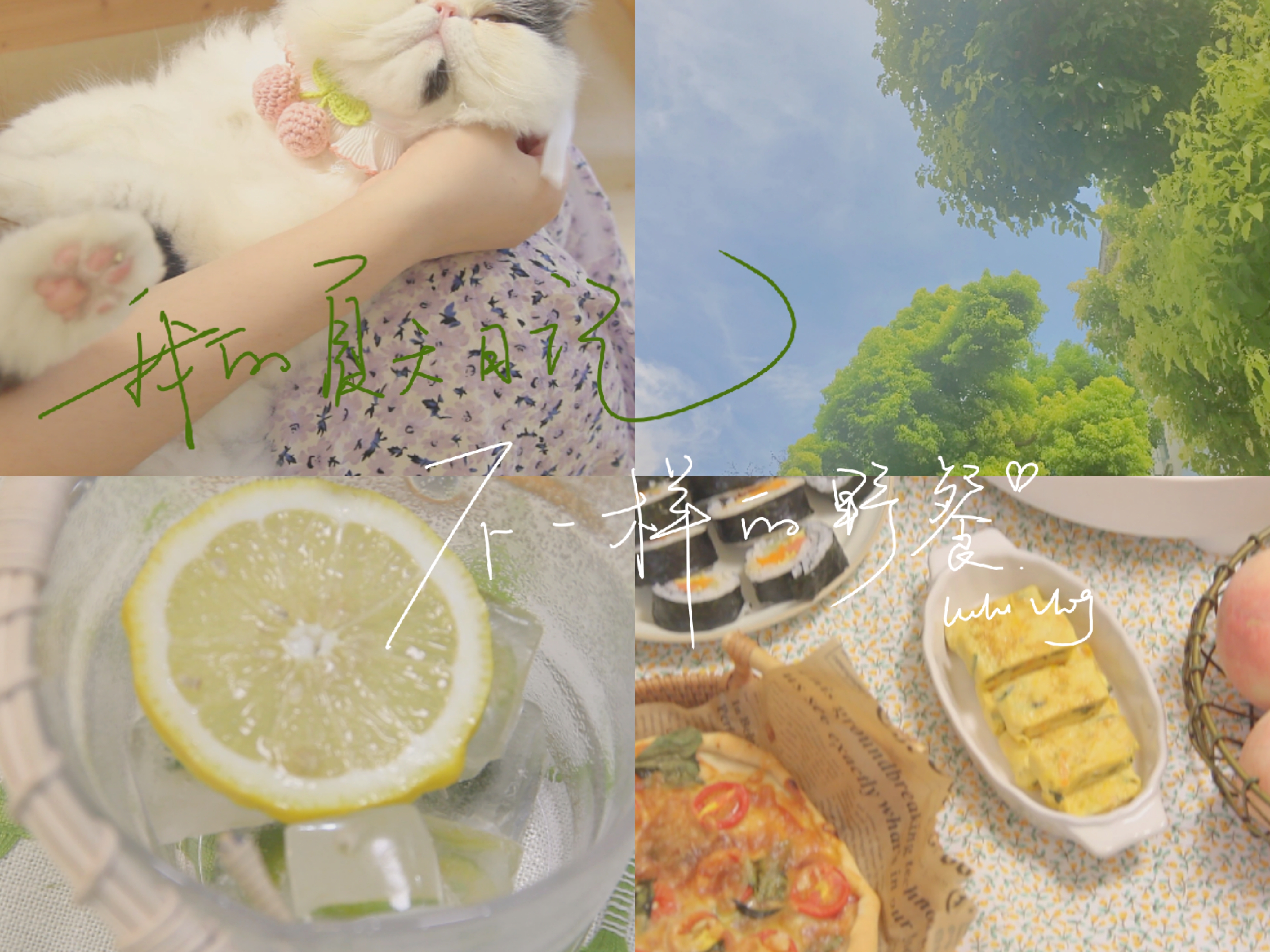 夏天日记|宅家也能野餐呀 春日宅家攻略