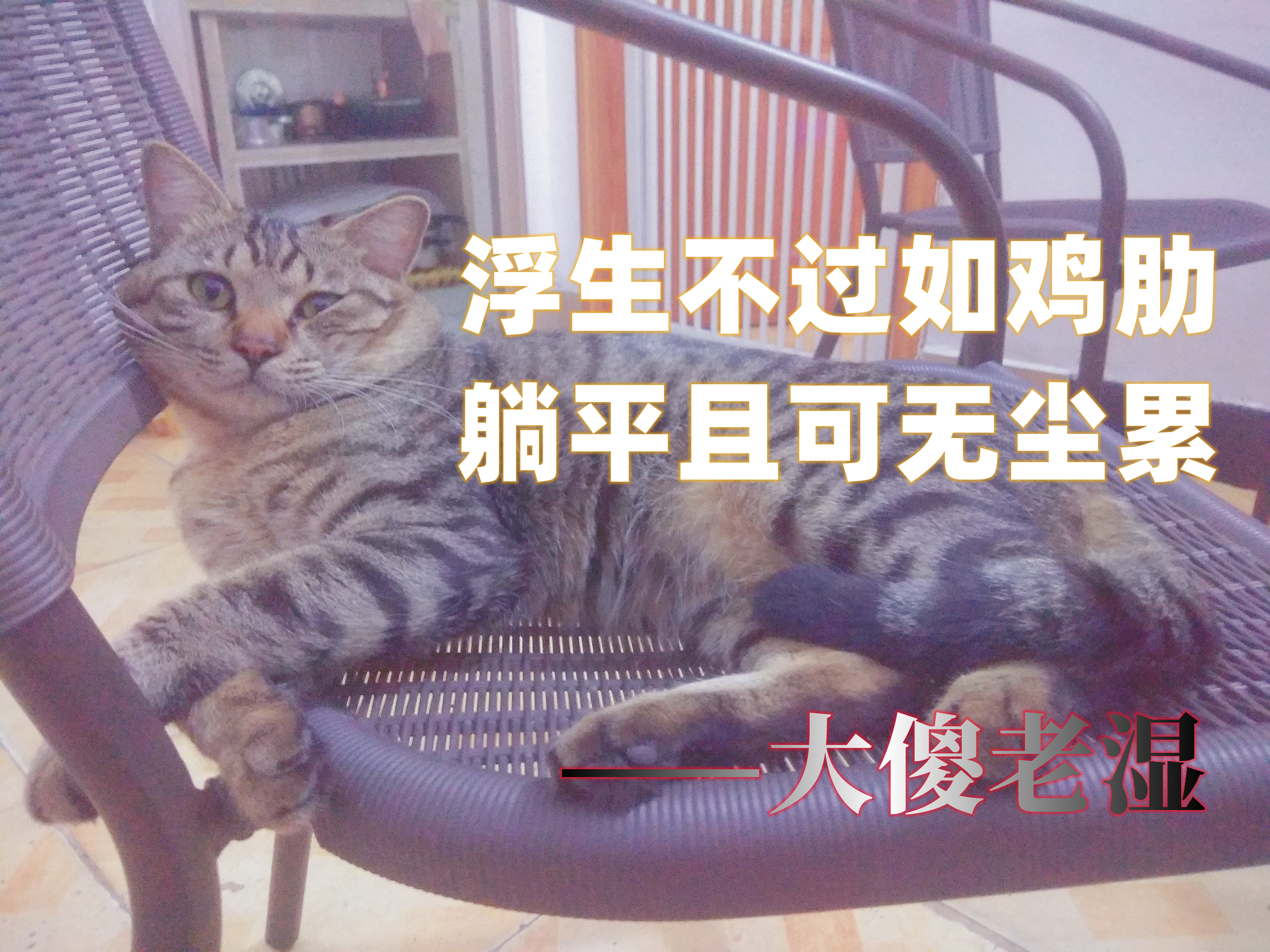 既然人生是一盘鸡肋,不如好好做一盘炸鸡配啤酒