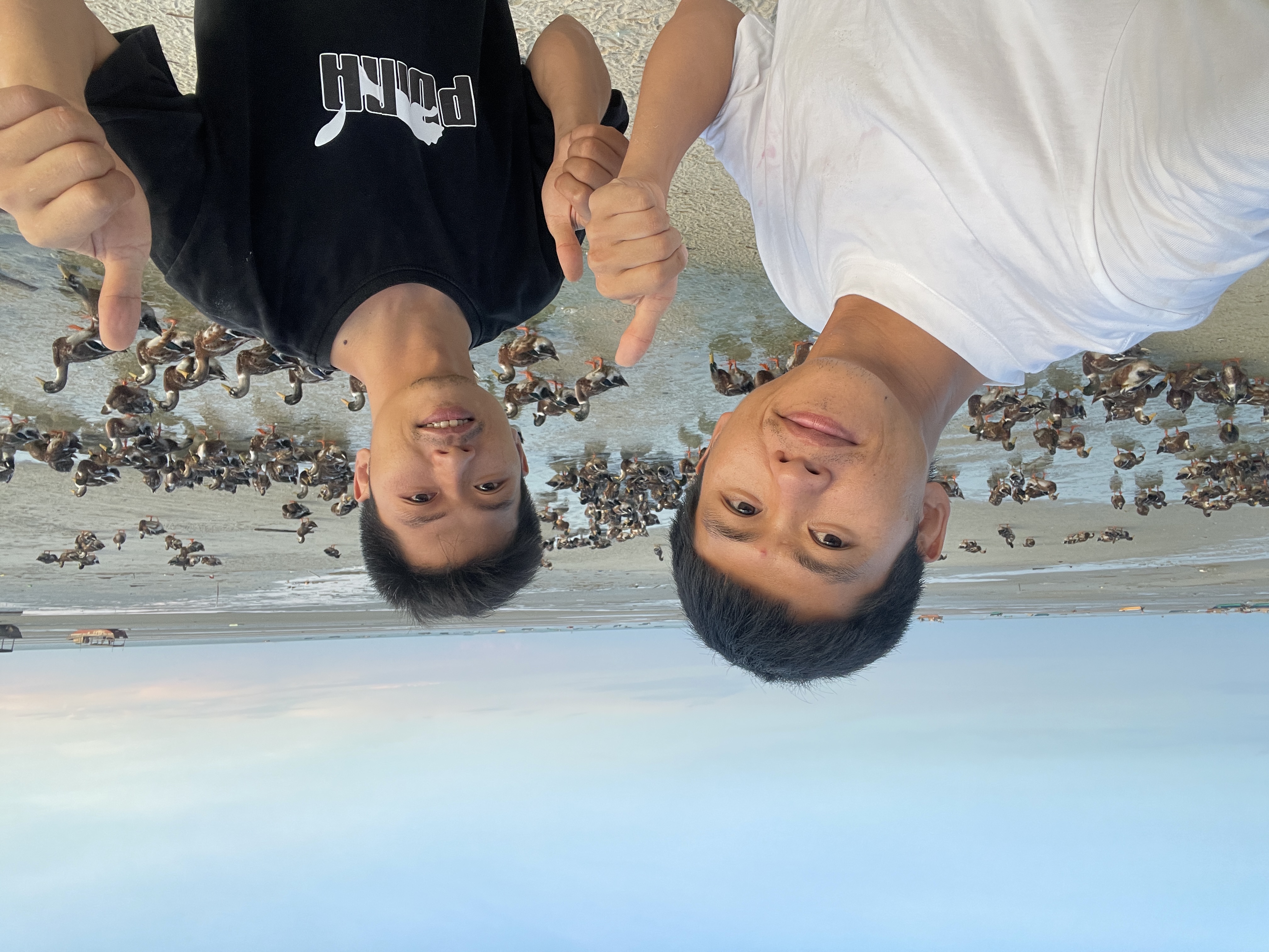 亲兄弟明算账,阿旺和大哥的鸭场越扩越大,二哥直接拿钱入股