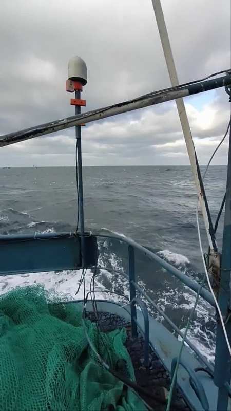 杨帆远航出海捕鱼去了渔民日常带你去看海航海扬帆远航