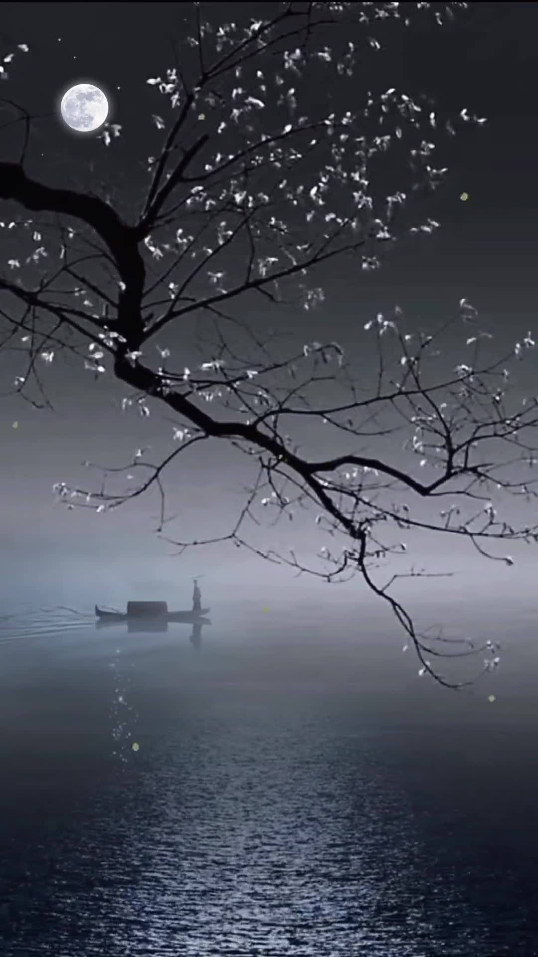 清风明月伴孤舟,寒露披霜起乡愁-度小视