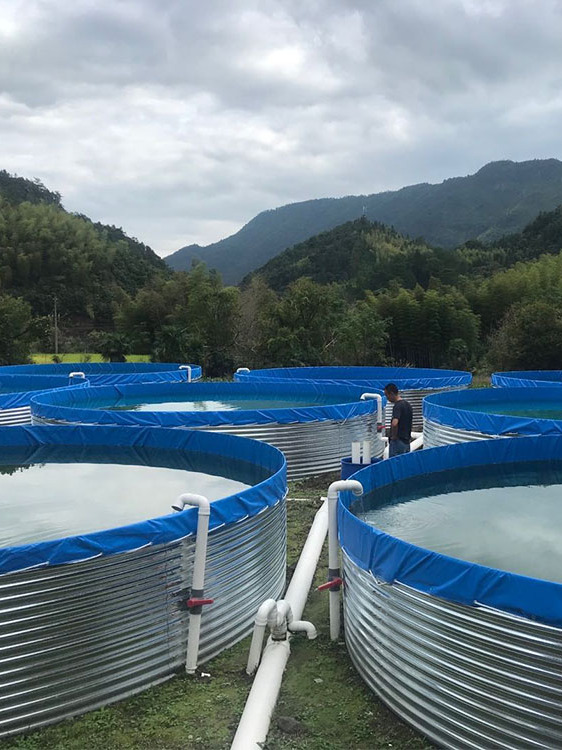 工廠化新模式養殖鍍鋅板帆布魚池現場安裝過濾設備和排汙系統