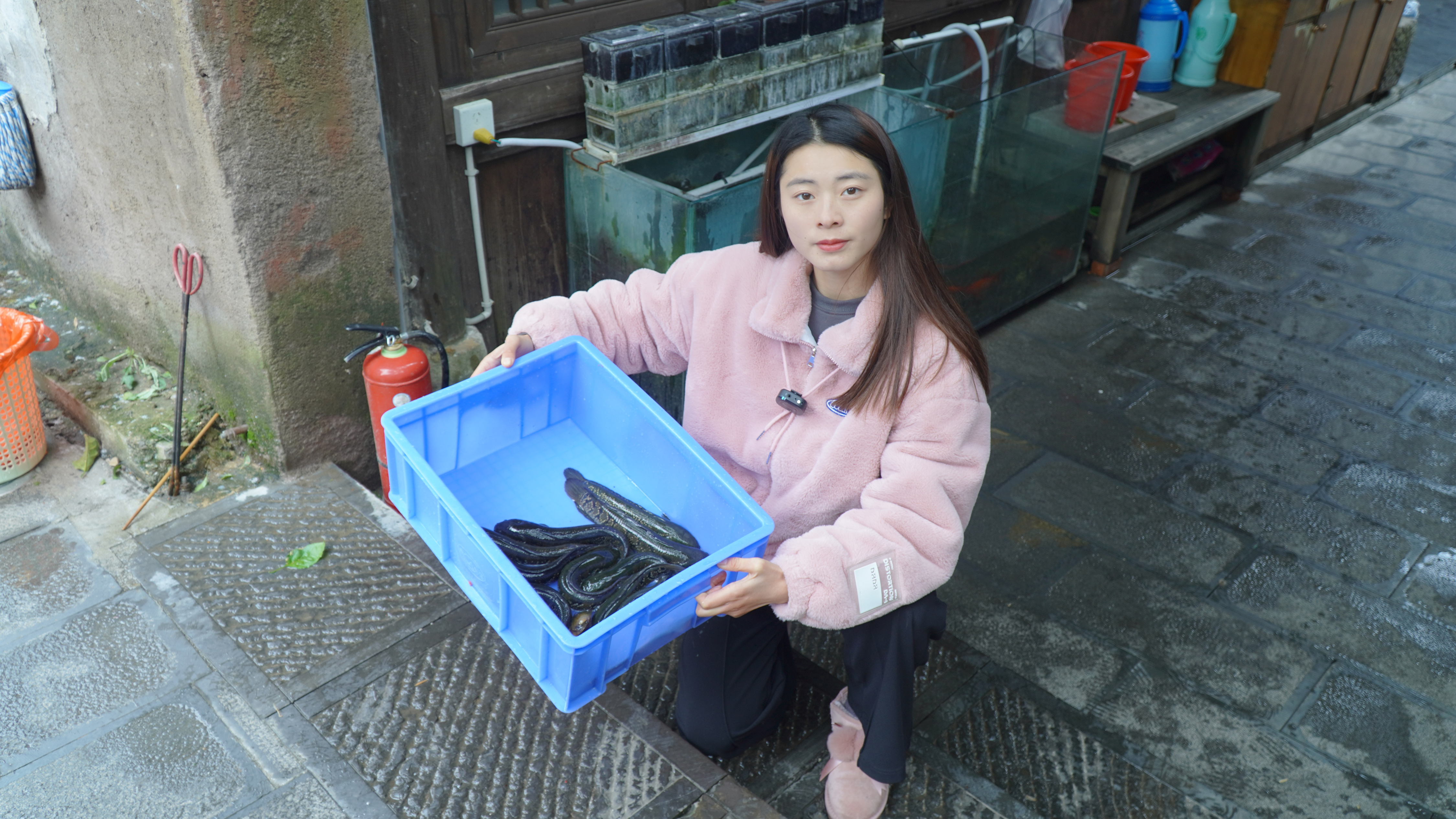 店里买了10条七星鱼，野生的一斤30元，这个价格贵不贵啊？