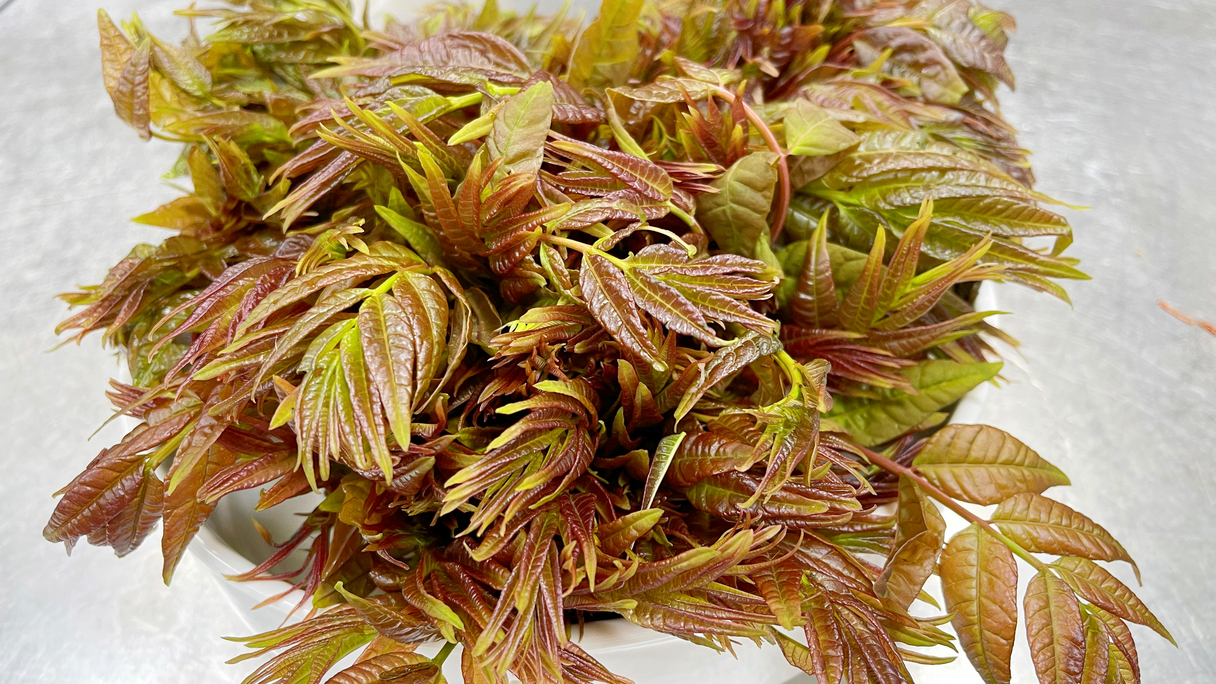 吃了30年香椿,就服大厨这种特色做法,营养美味超好吃,真过瘾