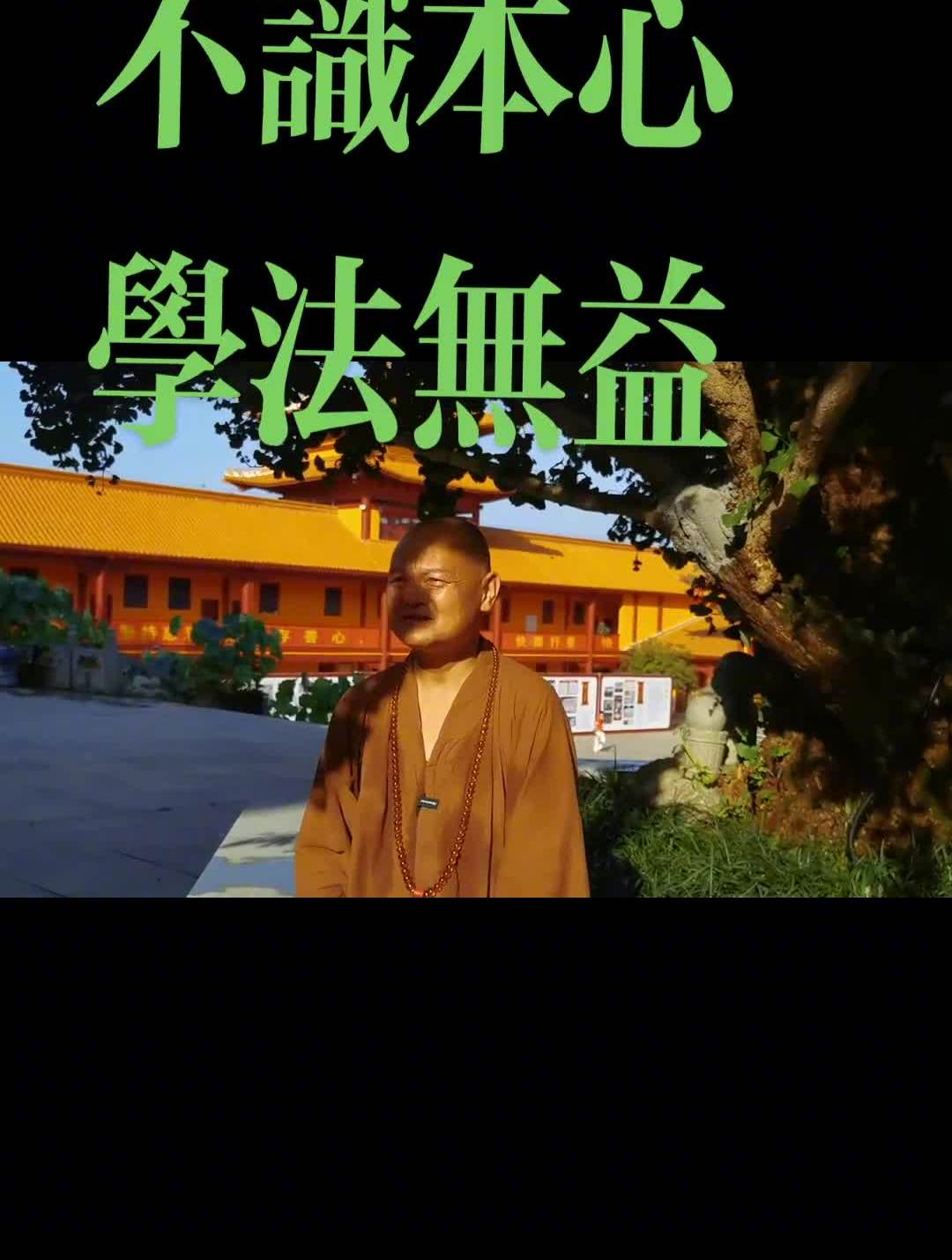 内观自心,莫向外觅.妙华法语