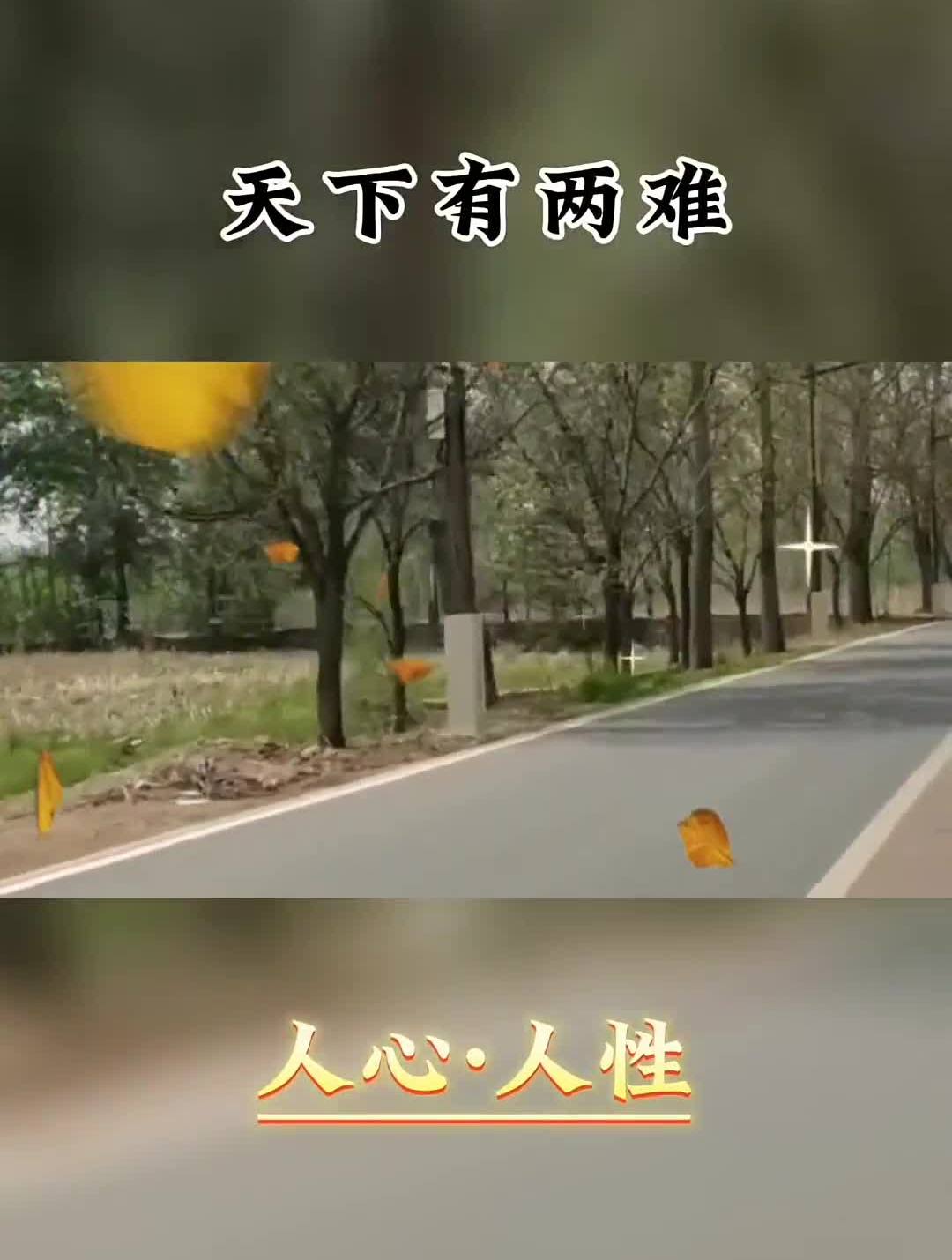 落难时才知人心图片图片