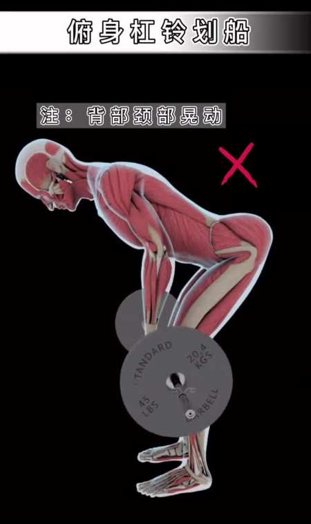 背部训练俯身杠铃划船,注意细节