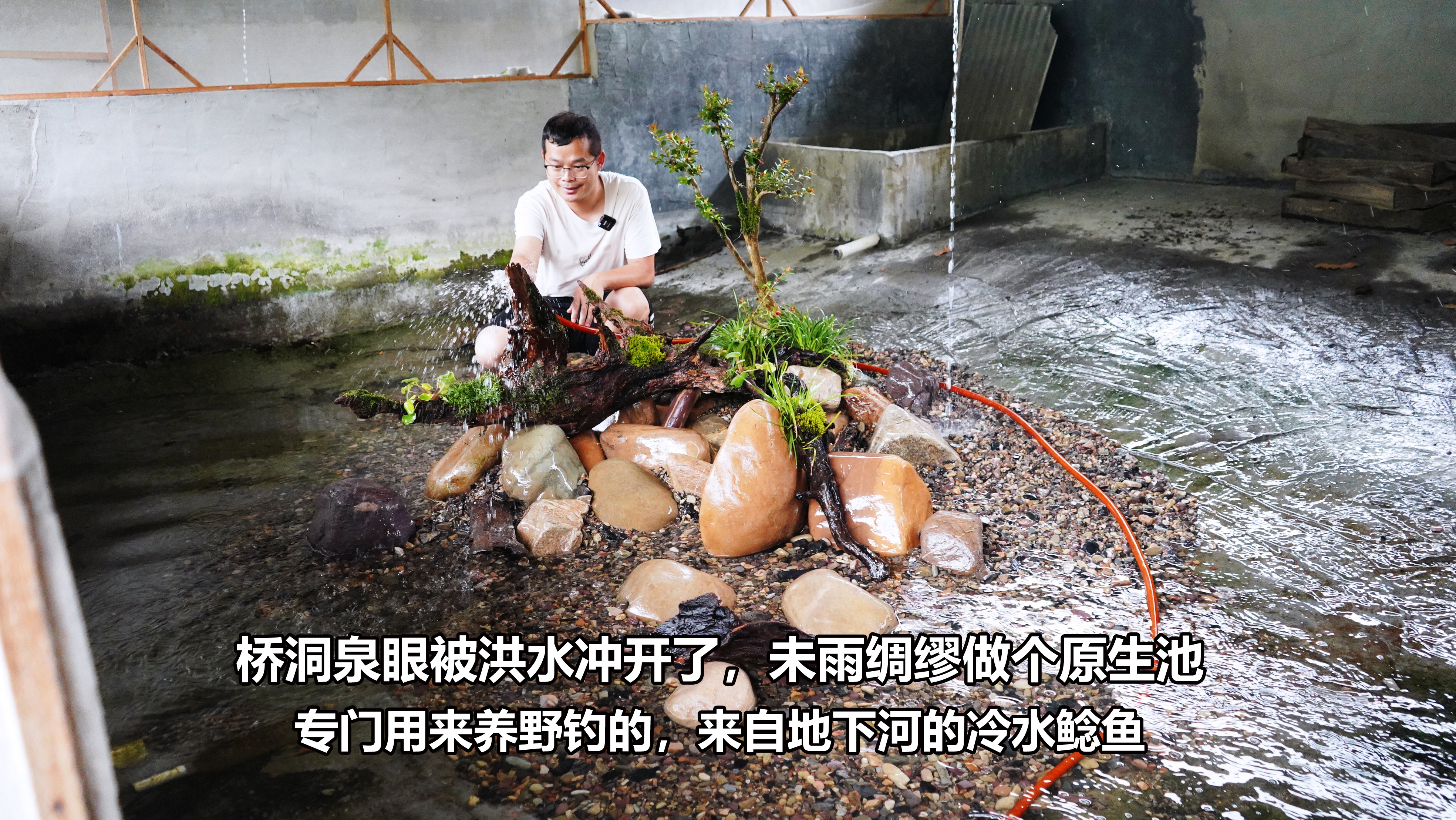 桥洞泉眼被洪水冲开了，冷水鲶鱼即将到来，做个原生池提前准备下