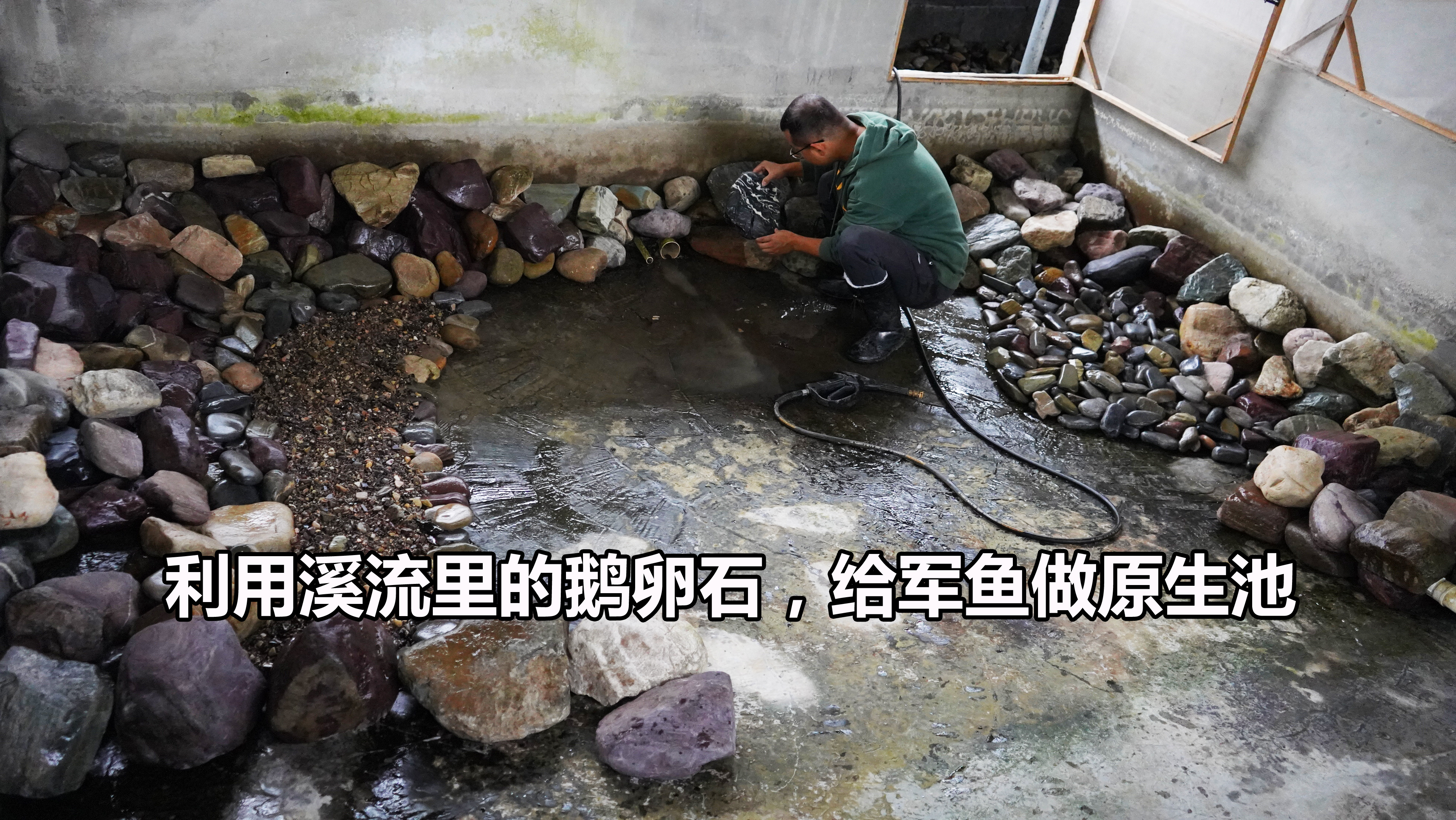 用了三车鹅卵石，改造的原生鱼池颇具气势，这效果有点出乎意料