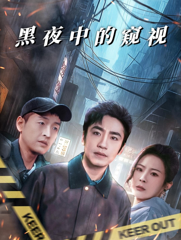 黑夜中的窥视